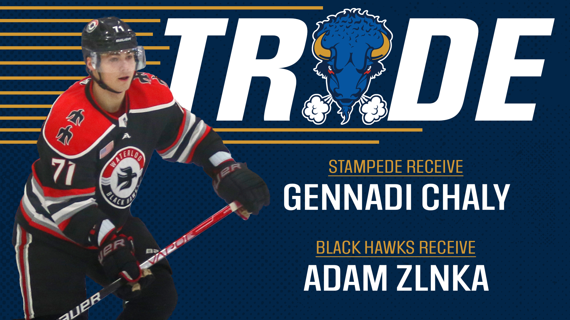 Trade- Gennadi Chaly for Adam Zlnka