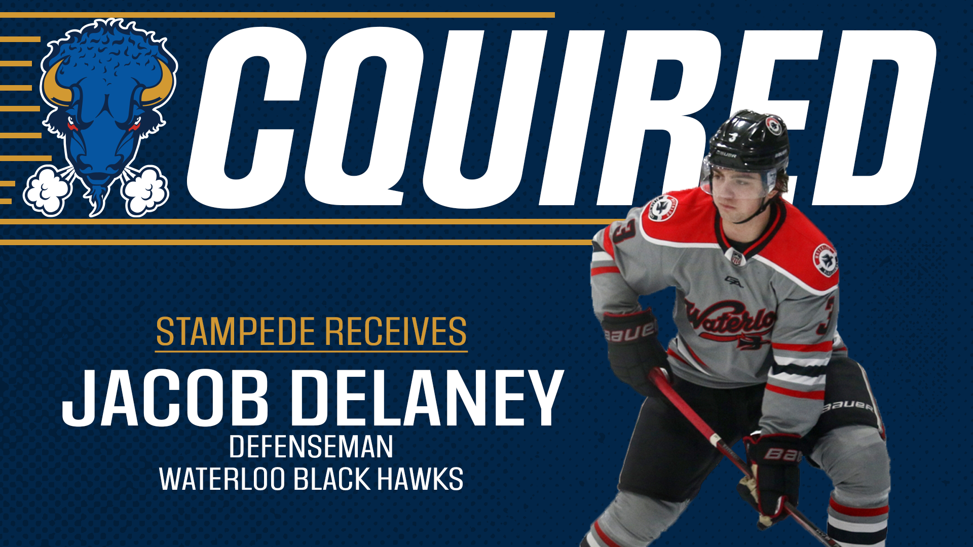 Stampede adds Delaney to roster Sioux Falls Stampede