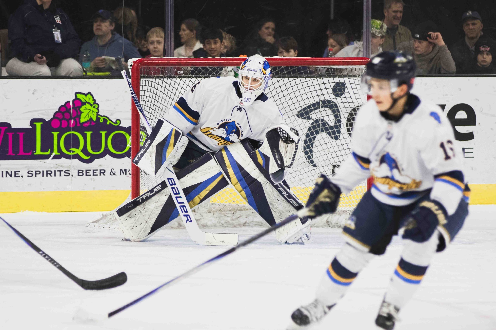 5-2 vs Fargo Game Recap 