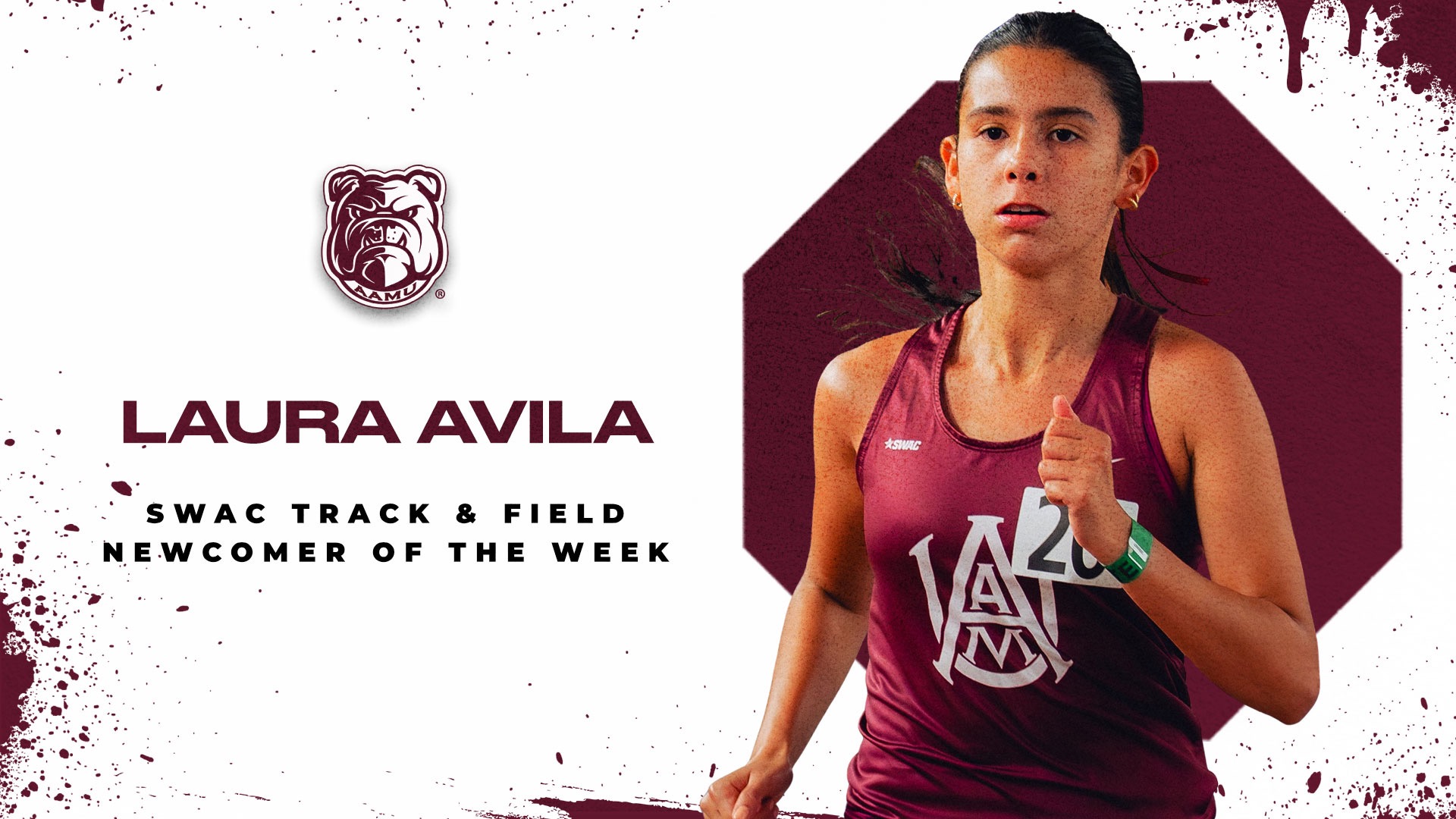 Track Avila Newcomer