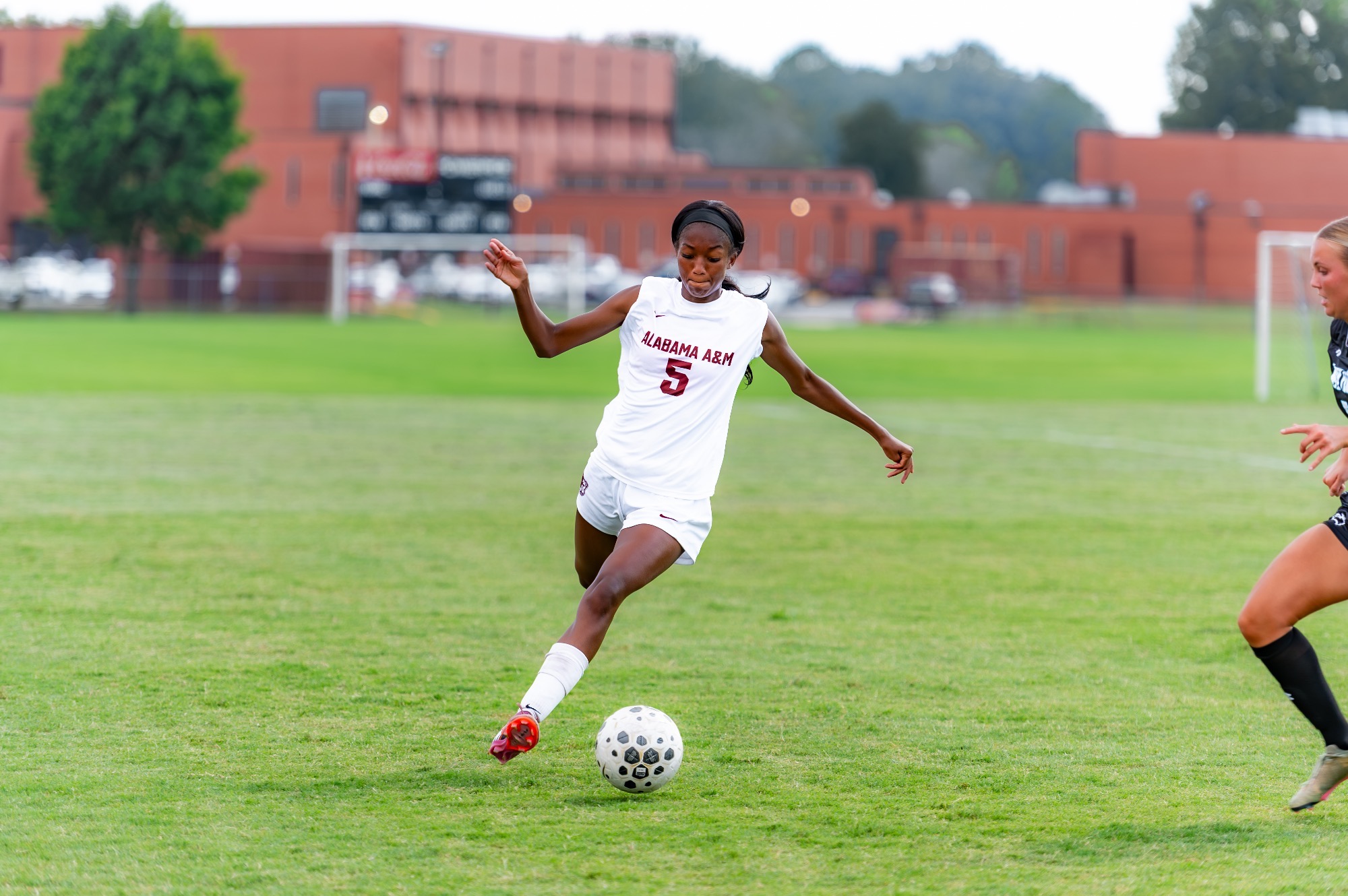 WSOC AP