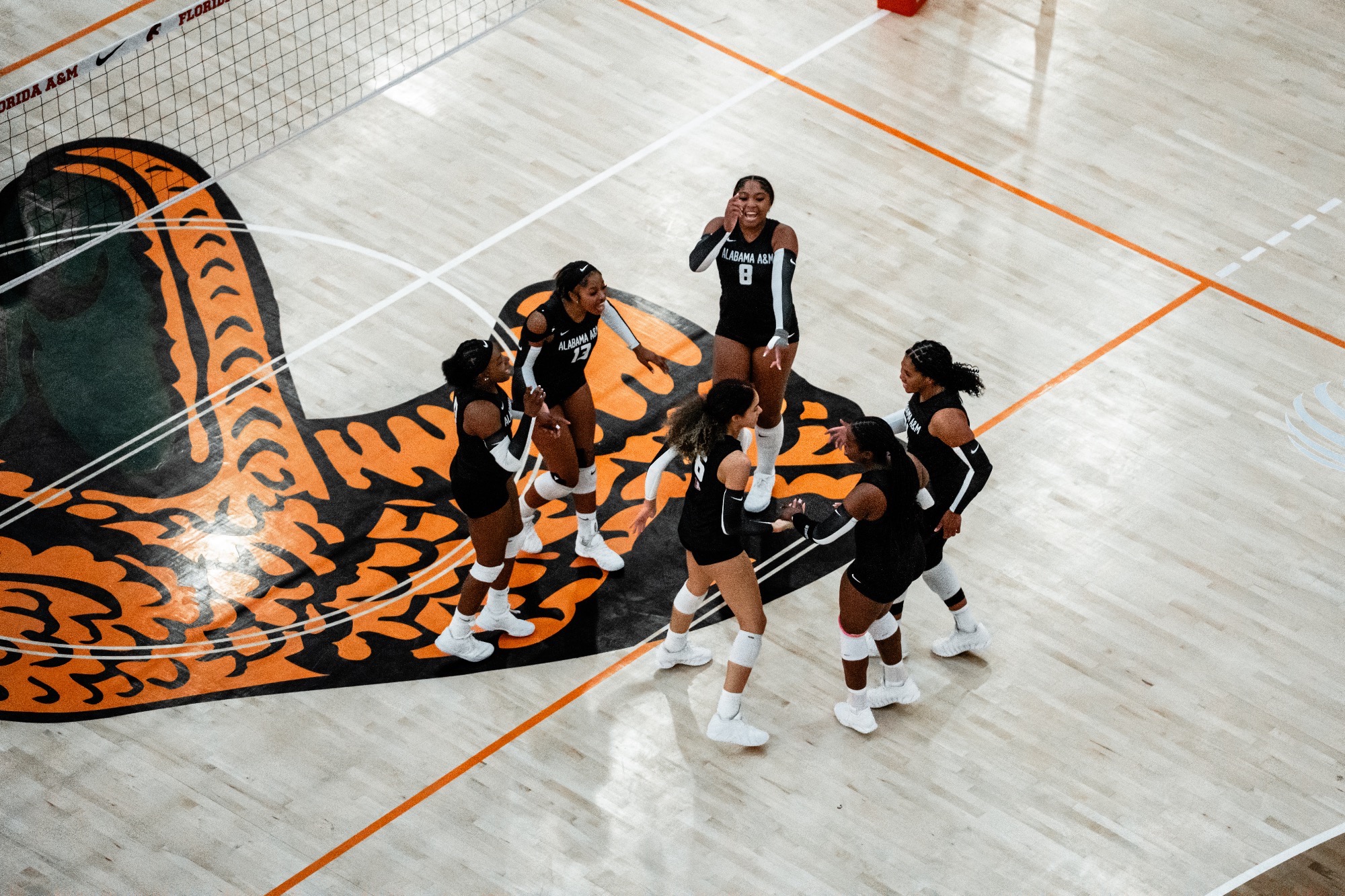 Volleyball at FAMU
