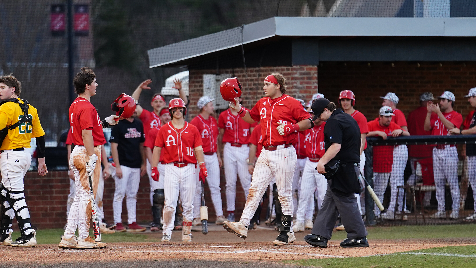 Belmont Abbey Baseball