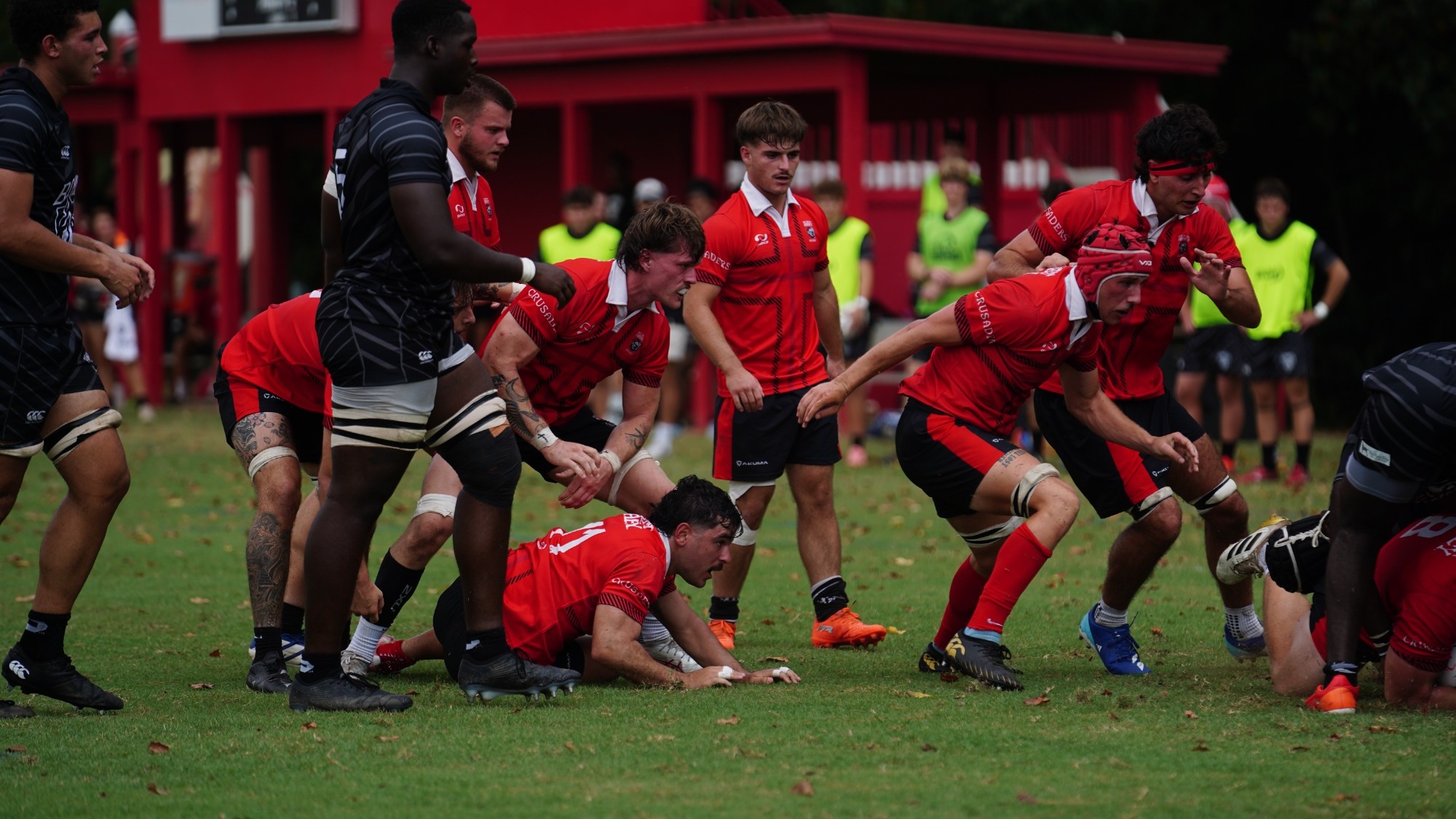 Rugby