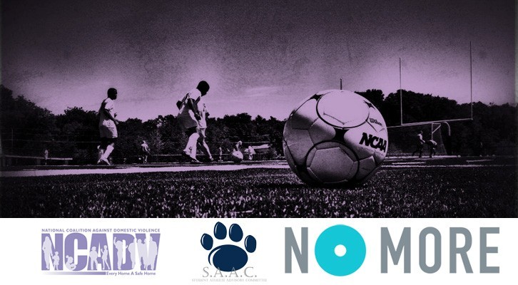 saacdomesticviolence2013