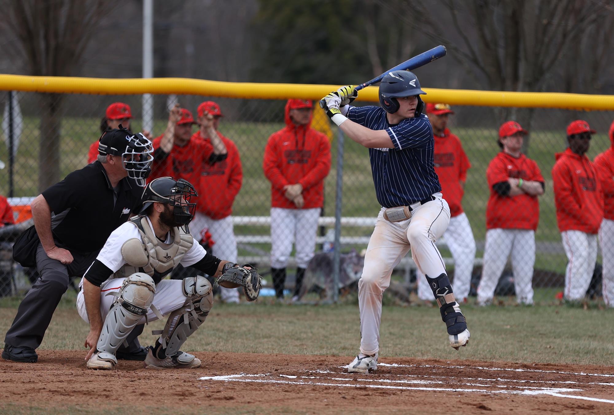 Montana Milward 2023 Baseball Penn State Abington University