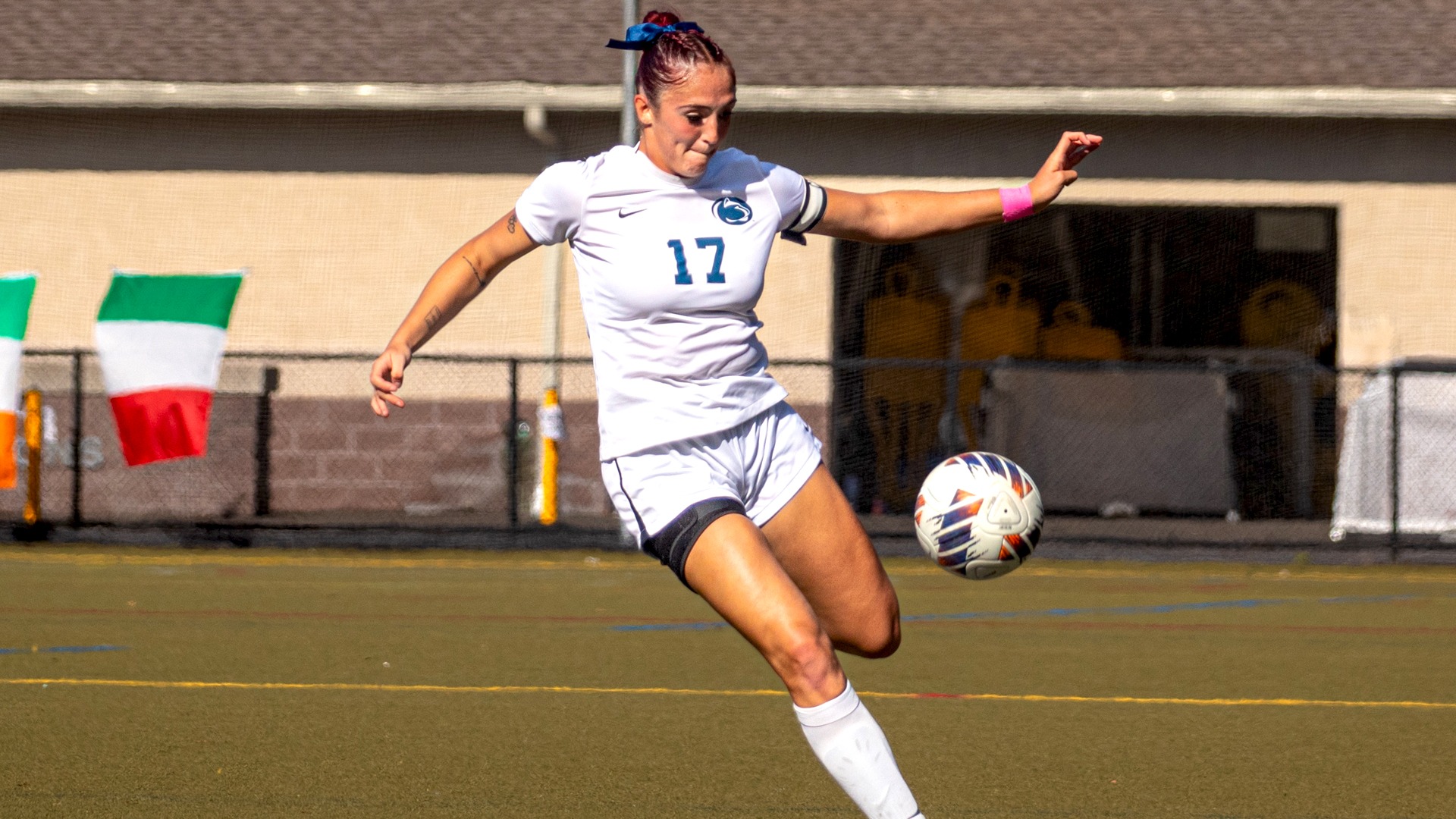WSOC - Sara Hogan