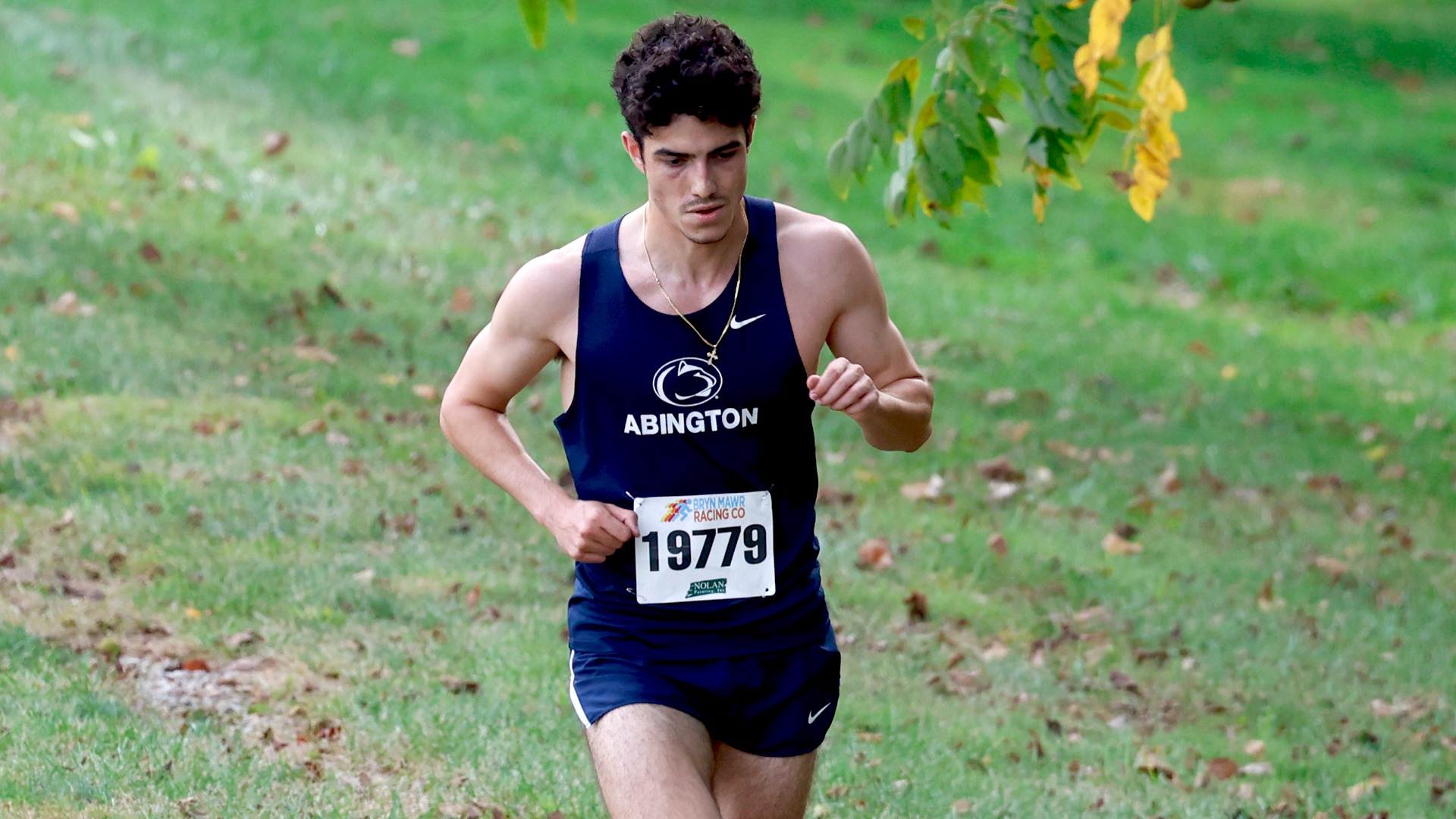 MXC - Marco Isabella