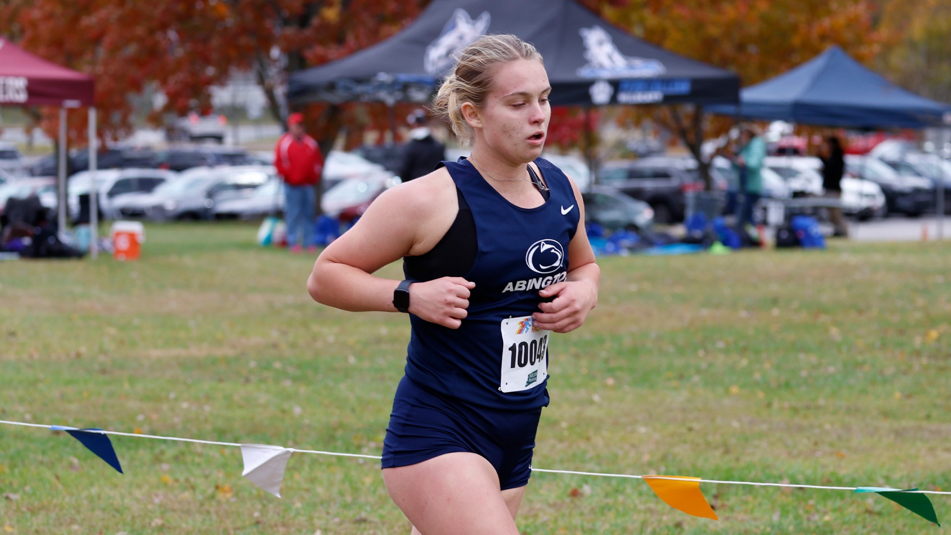 WXC - Maxwell