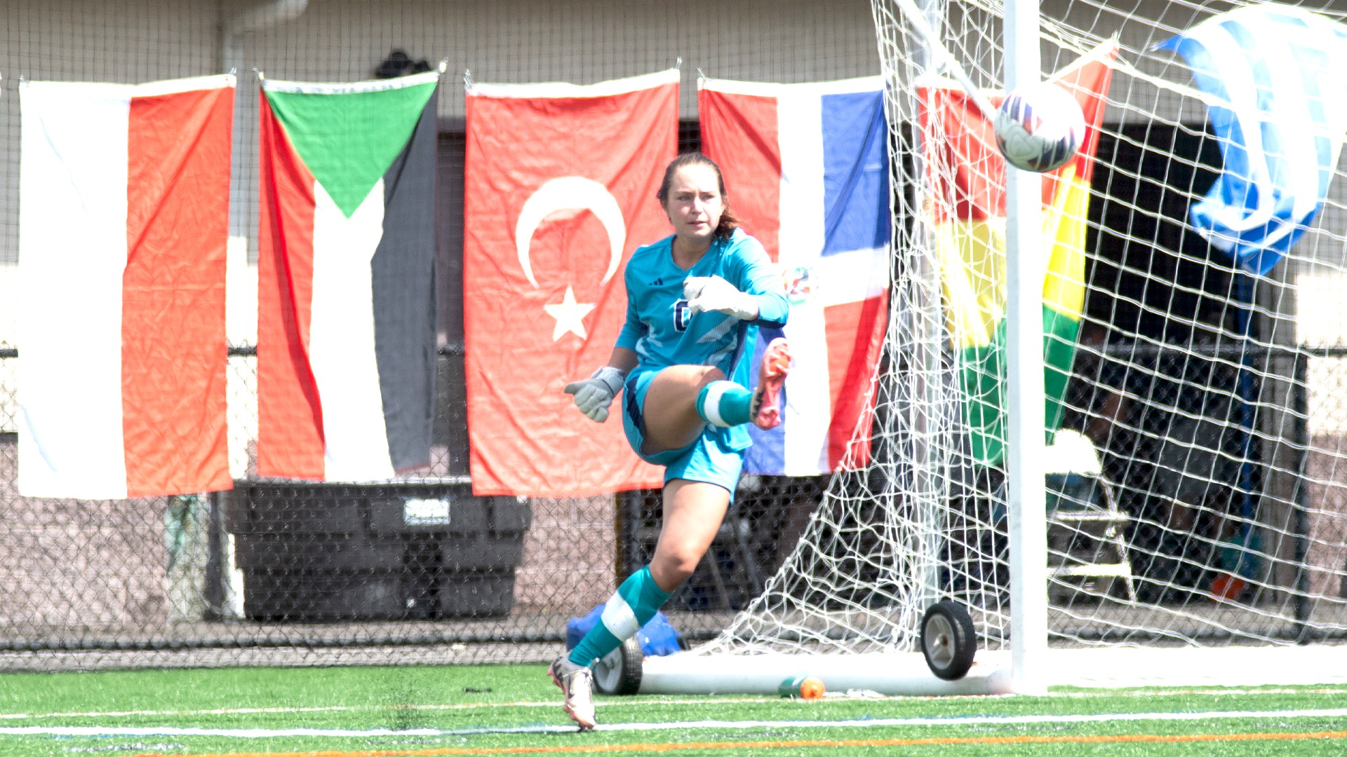 WSOC - Ridler