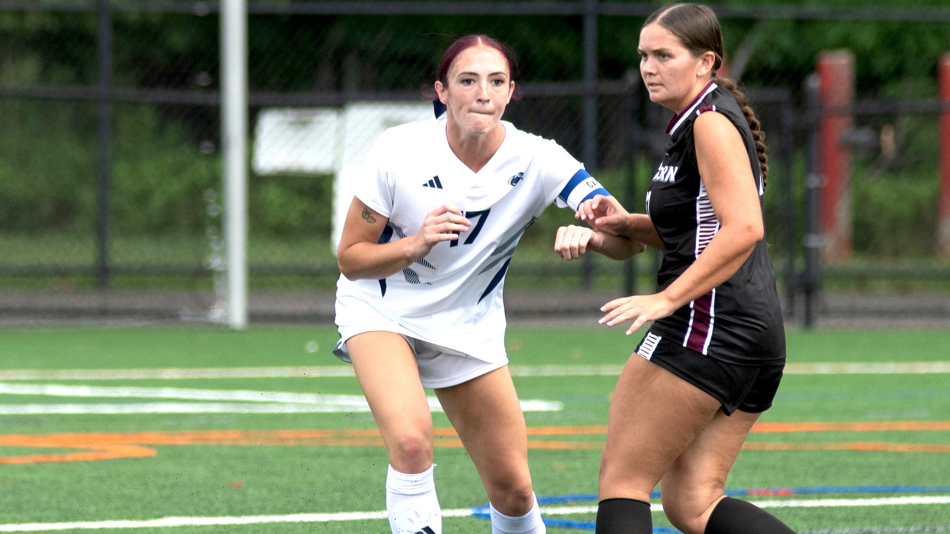 WSOC - Sara Hogan