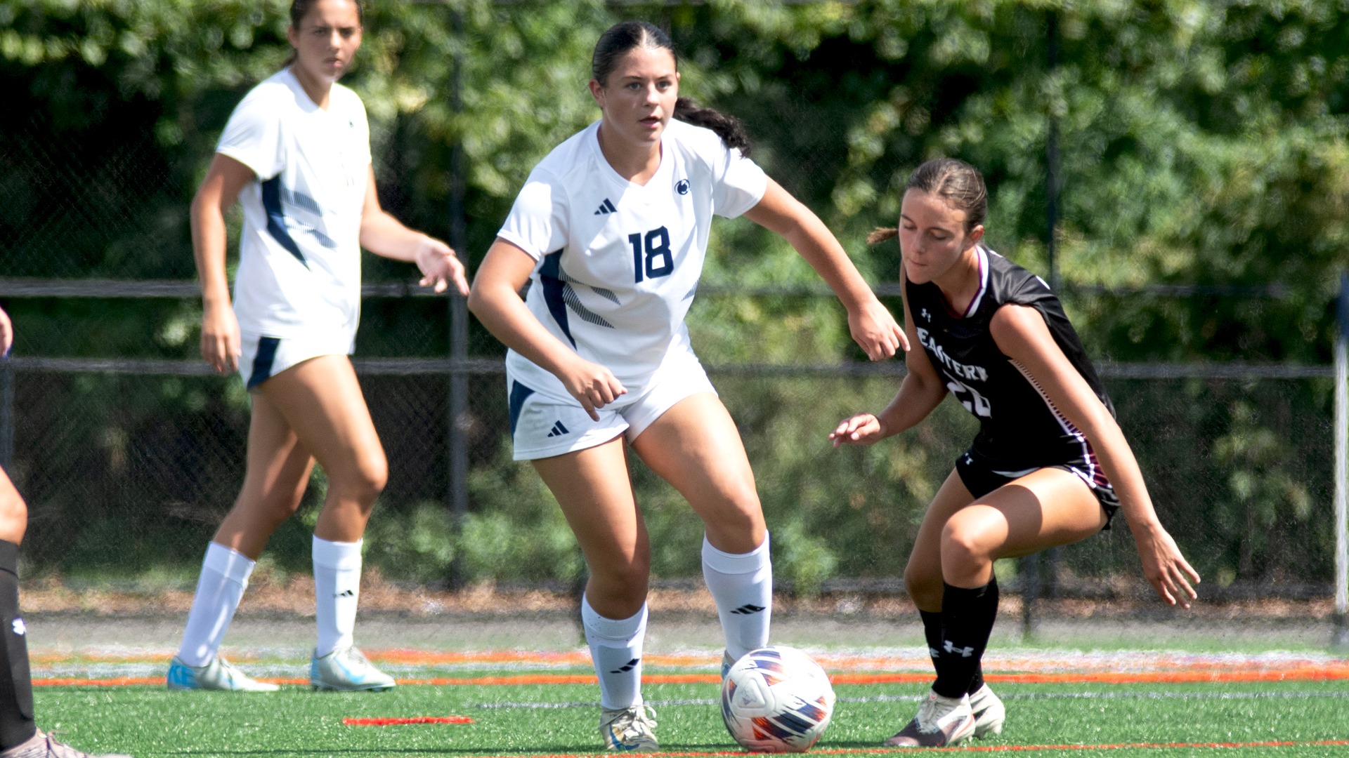 WSOC - Roesner