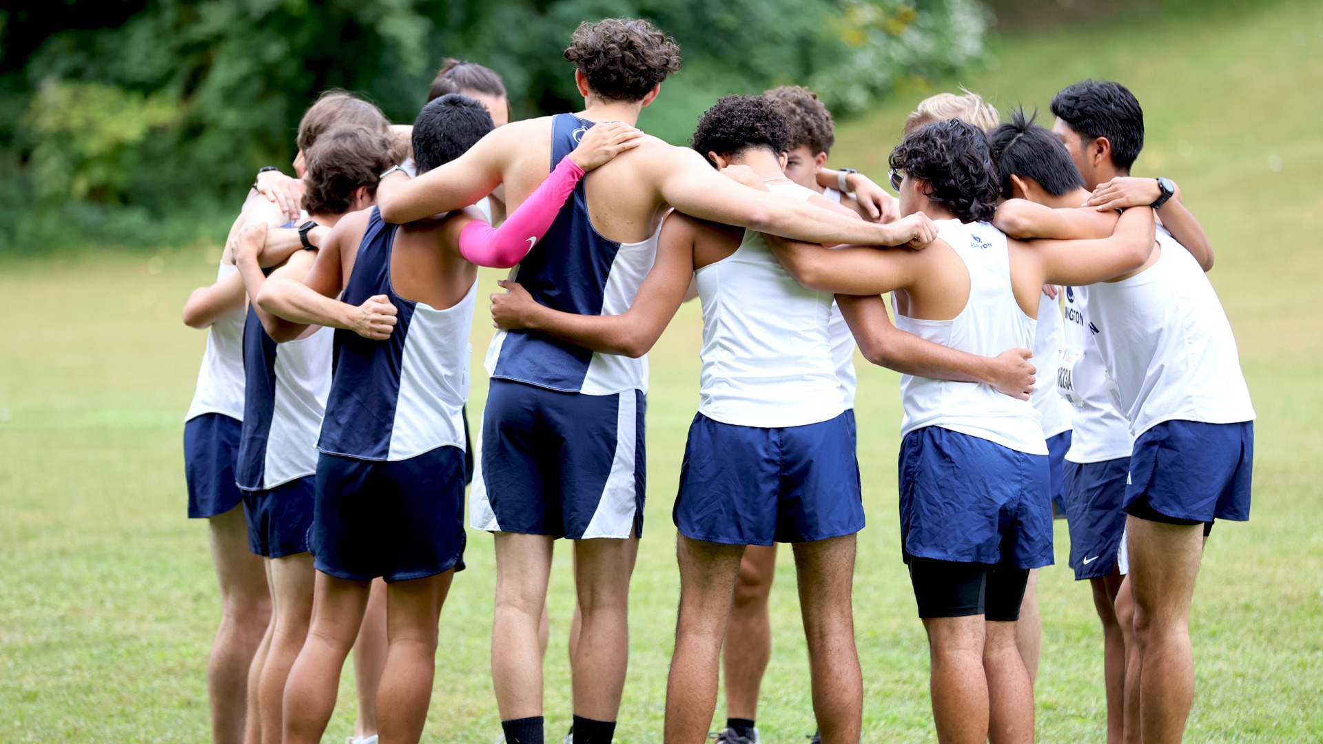 MXC - Group