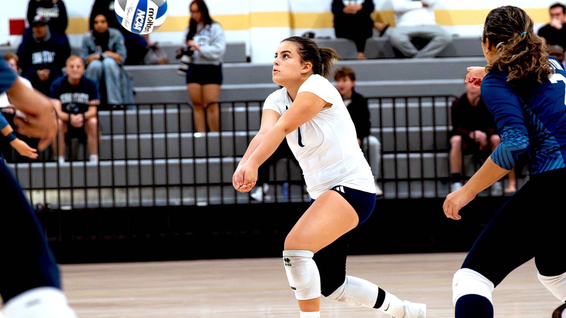VB - Medina