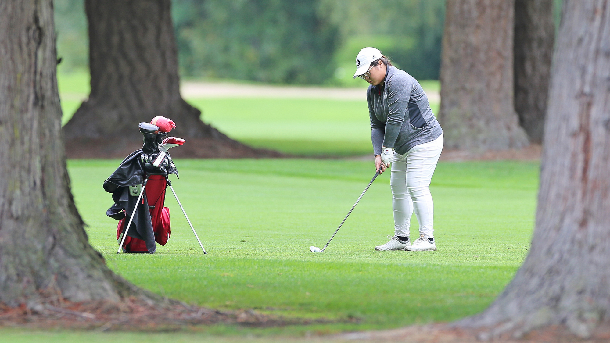 ChihHui "Judy" Shao Women's Golf Academy of Art University Athletics