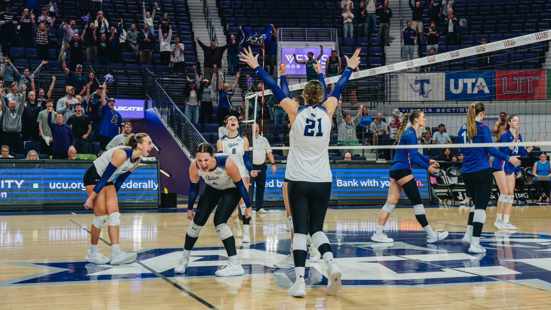 ACU volleyball celebrates a 3-2 win over UT Arlington in the WAC Tournament at Moody Coliseum on Nov. 20, 2025.