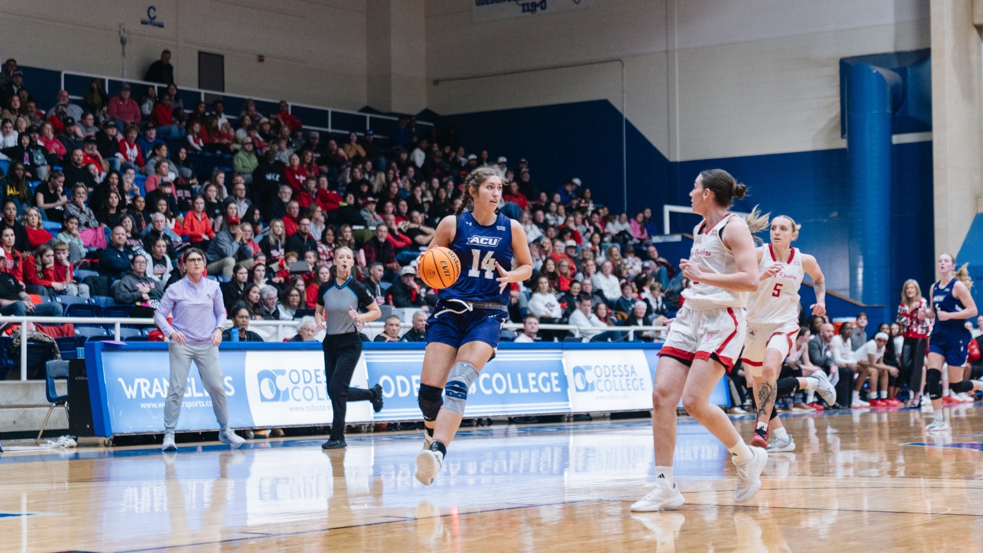 Meredith Mayes dribbles downcourt in ACU's matchup with Texas Tech in Odessa, Texas on Dec. 14, 2025.
