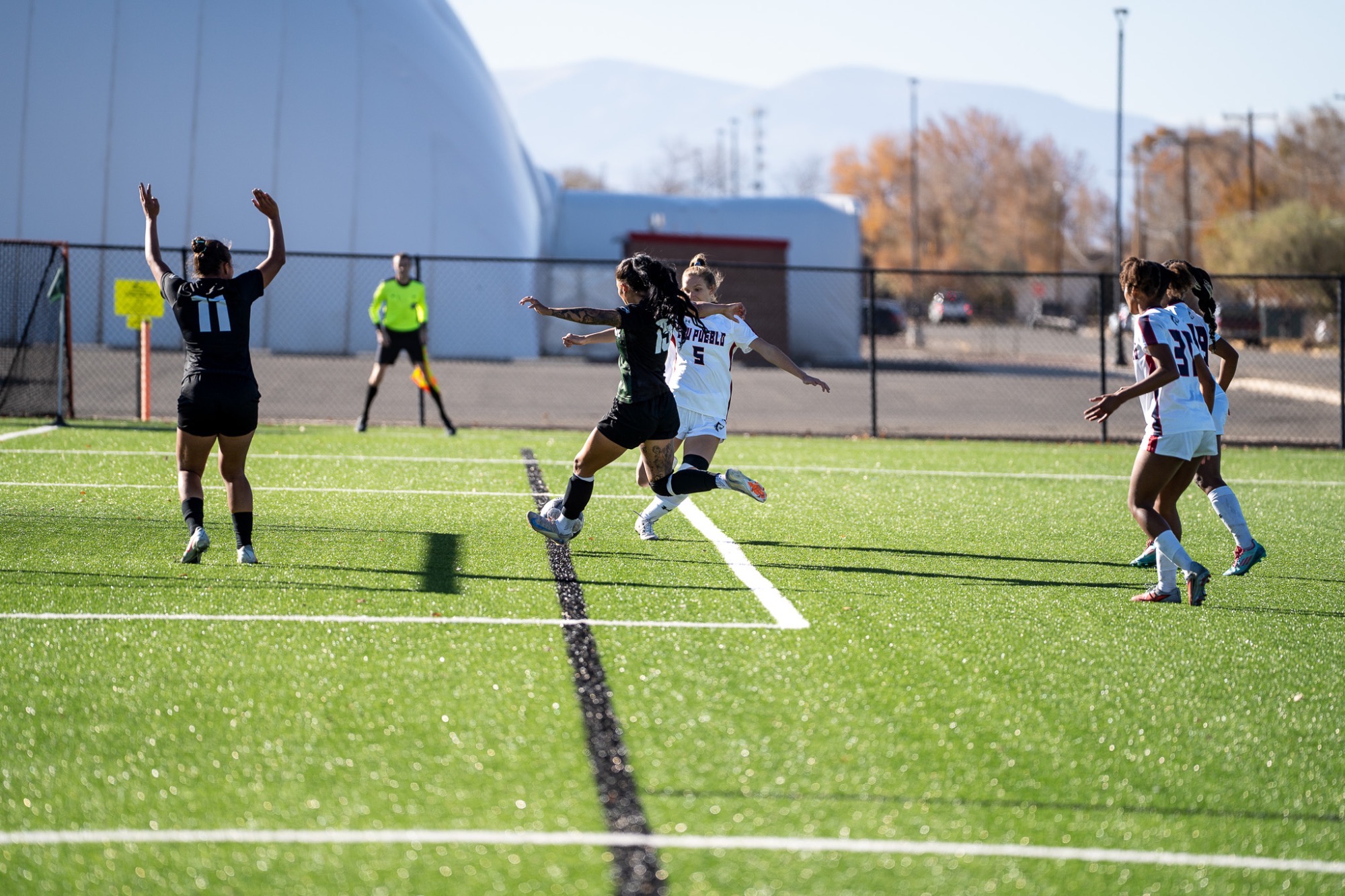 Fatso vs. CSU Pueblo