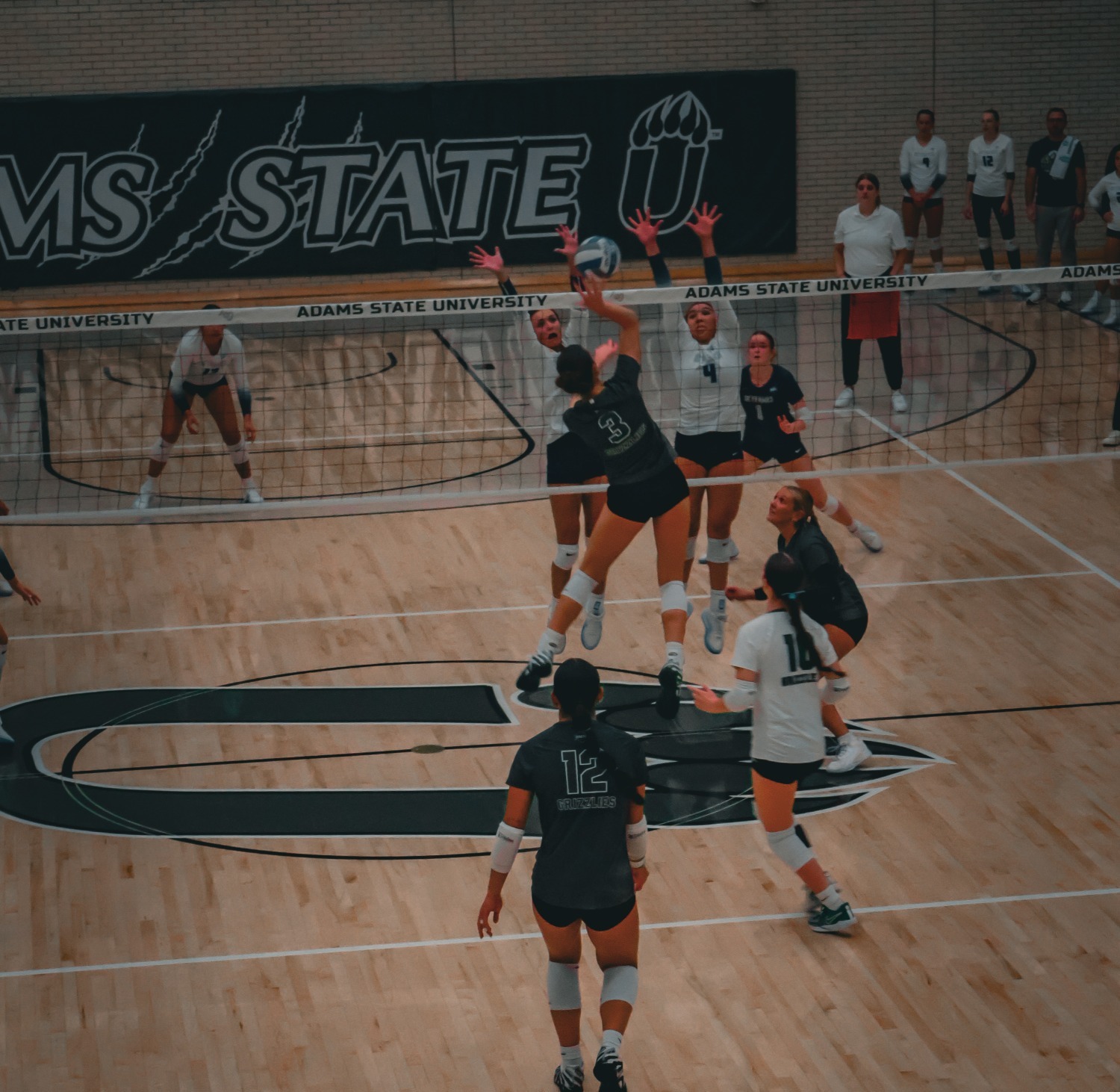 #3 Rowan Tribelhorn Gears up to Spike the Volleyball against Fort Lewis at Home