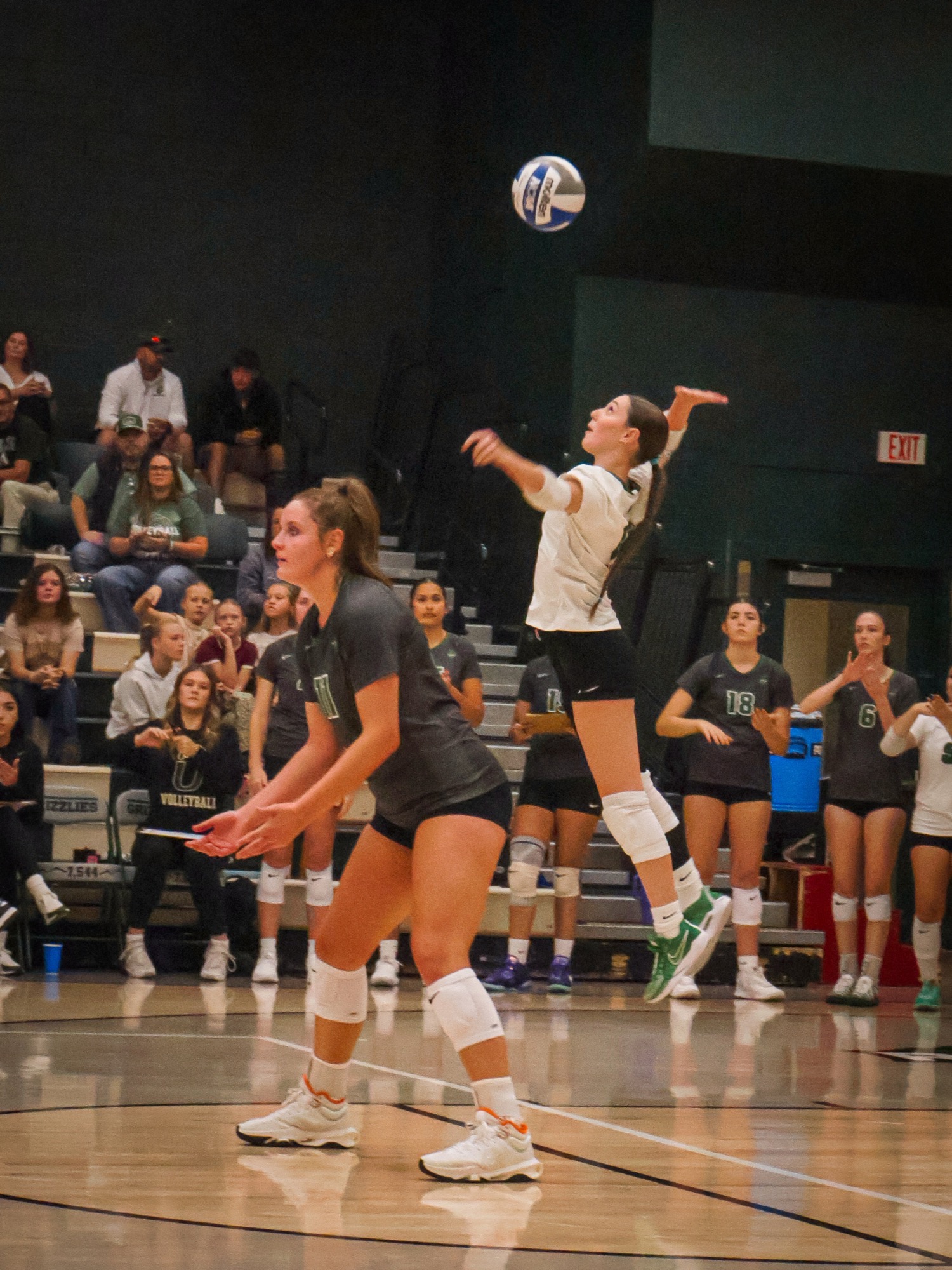 #10 Ashlynn Jones jumps up to serve against Fort Lewis while #11 Sienna Mcrivich washes 