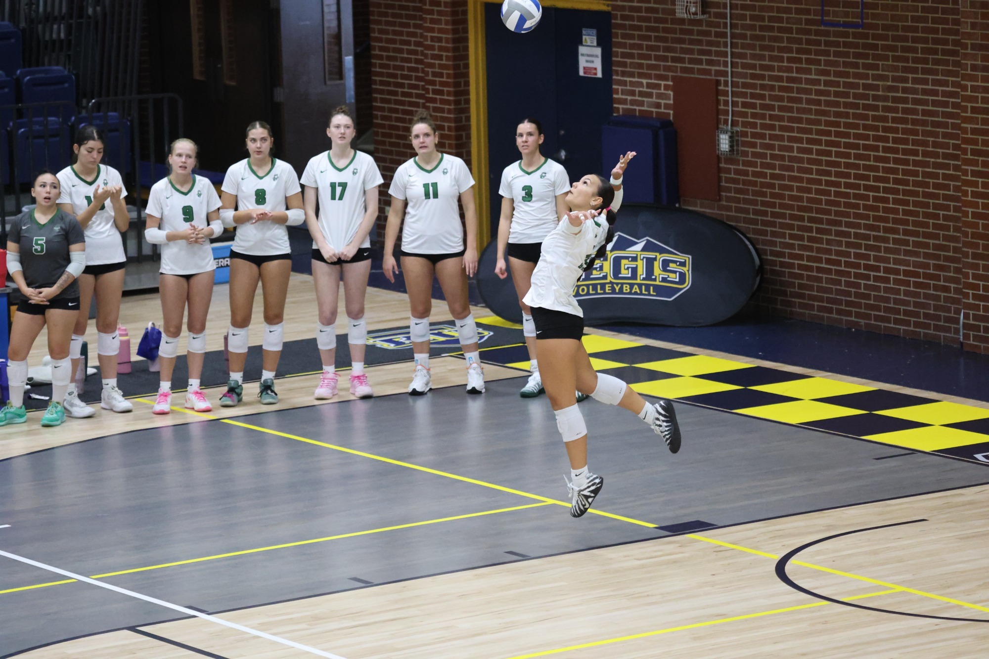 Adams State Volleyball Athlete Prepares to Spike Volleyball at Away Match