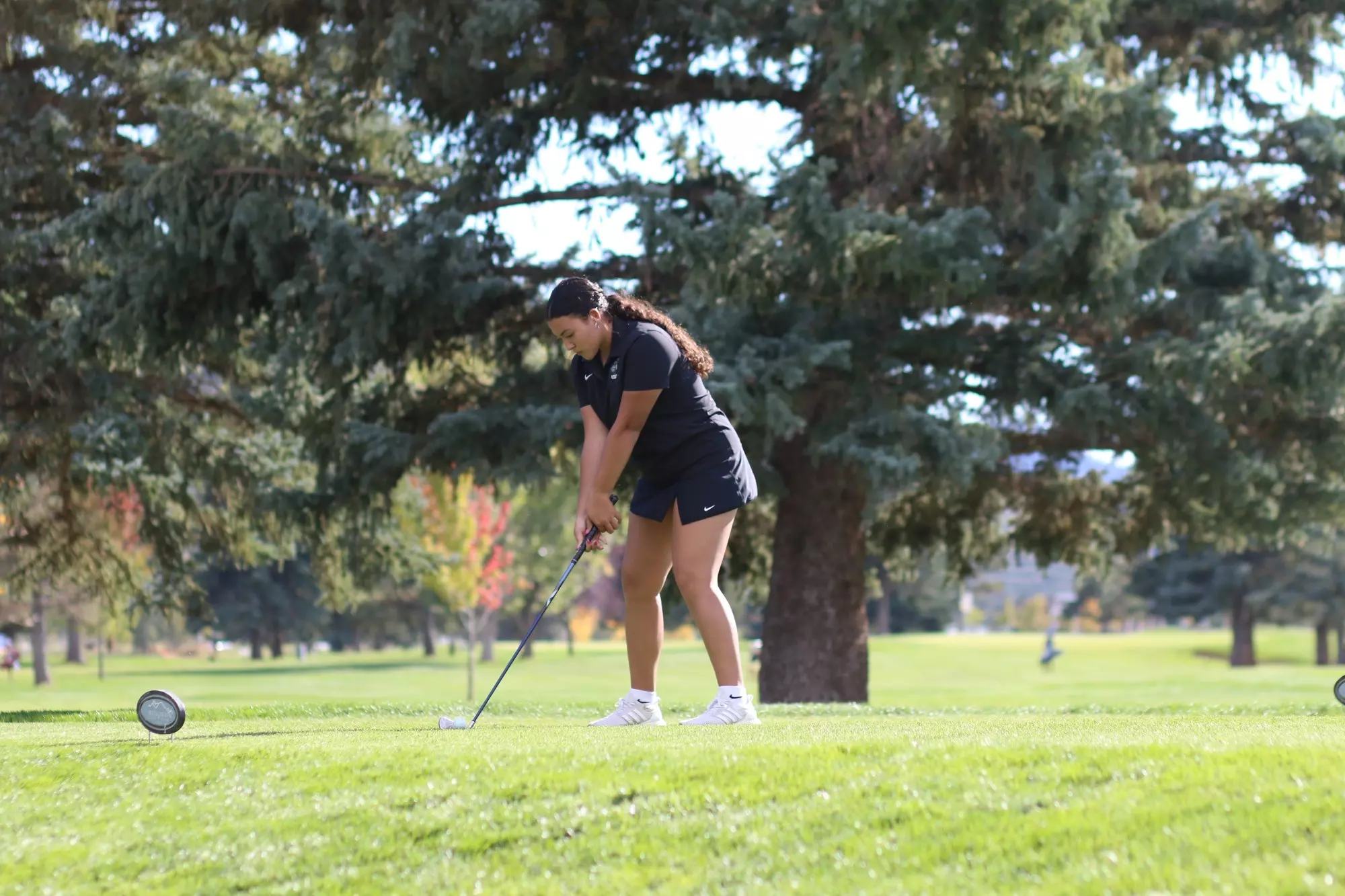 women golf at fort lewis Nick Turner Tournament compete and a golfer readies for a shot 
