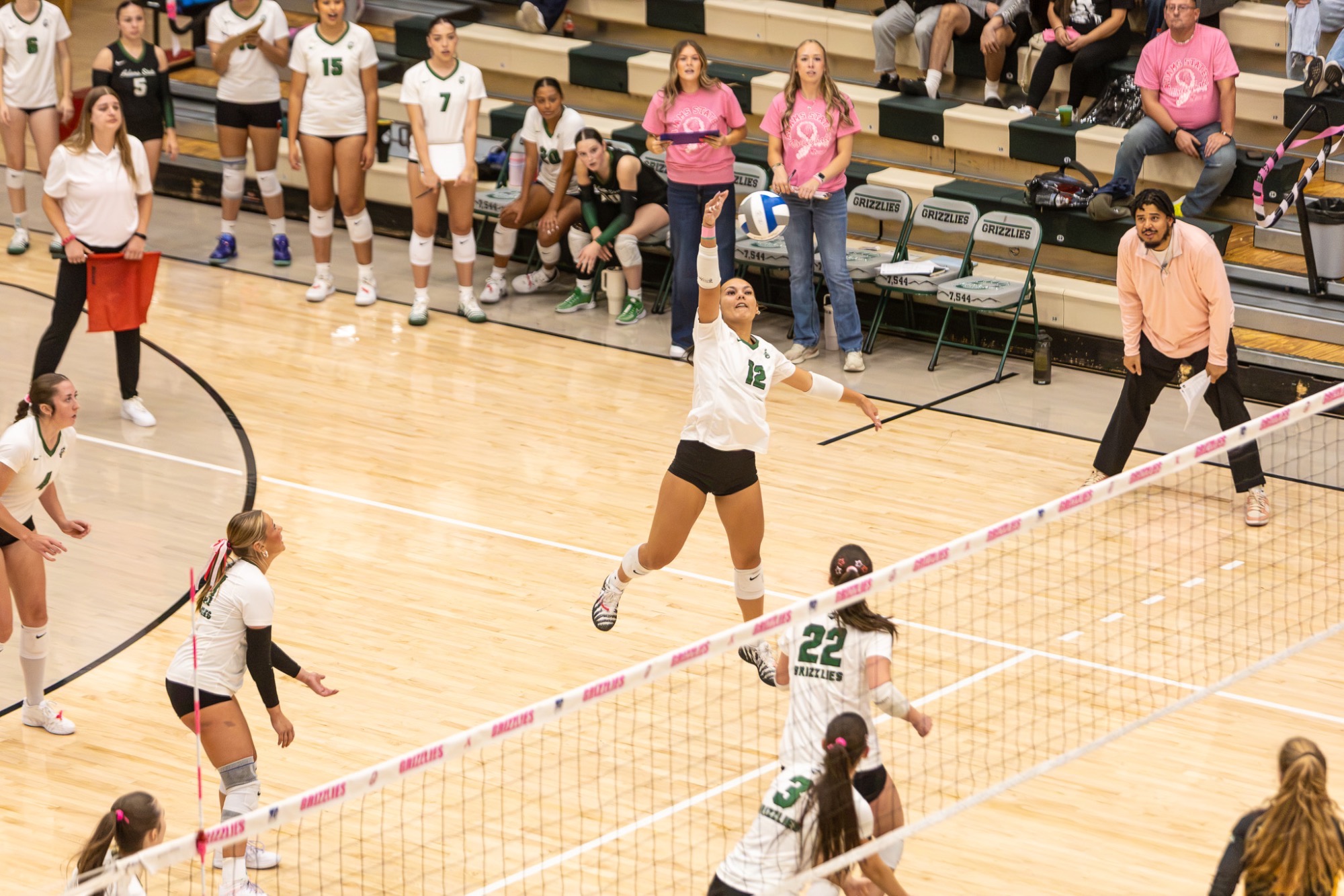 #12 Isa Falou jumps up and tips ball in their 3-0 win over Black Hills State on October 9, 2026