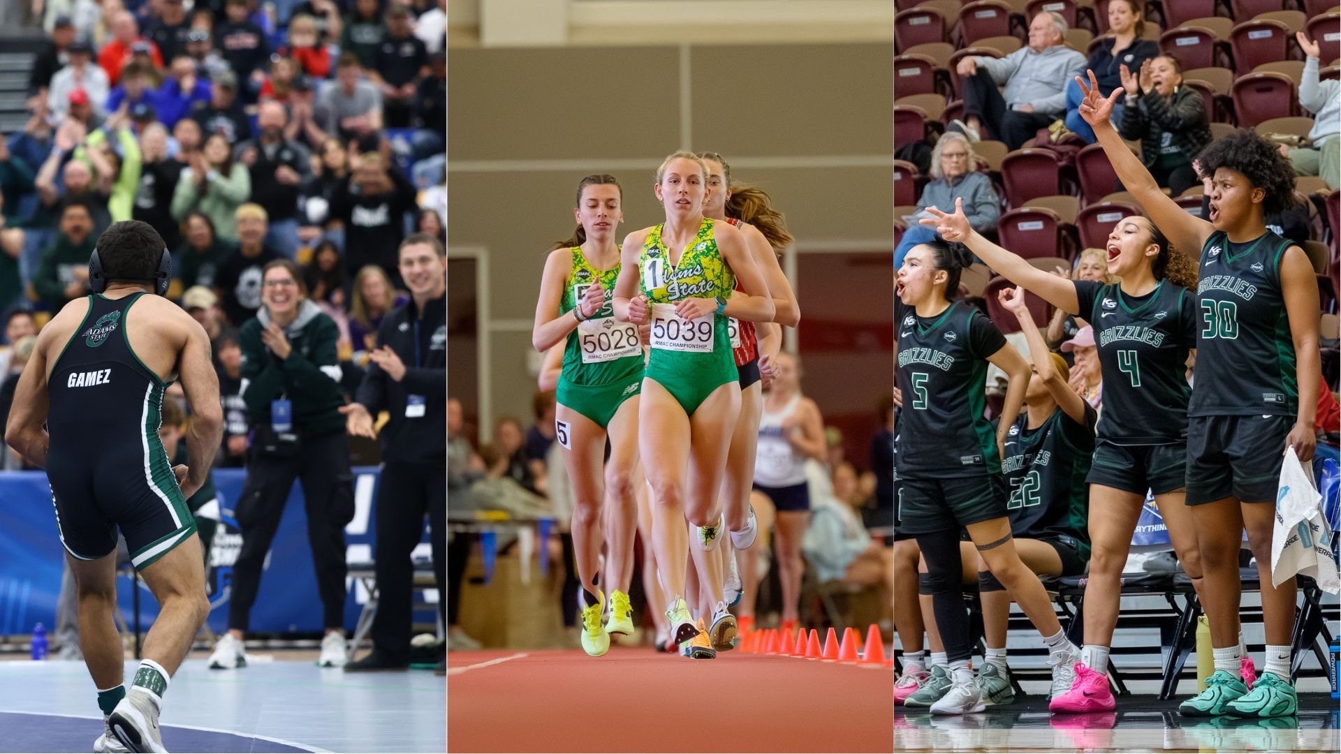 Nationals Weekend Collage