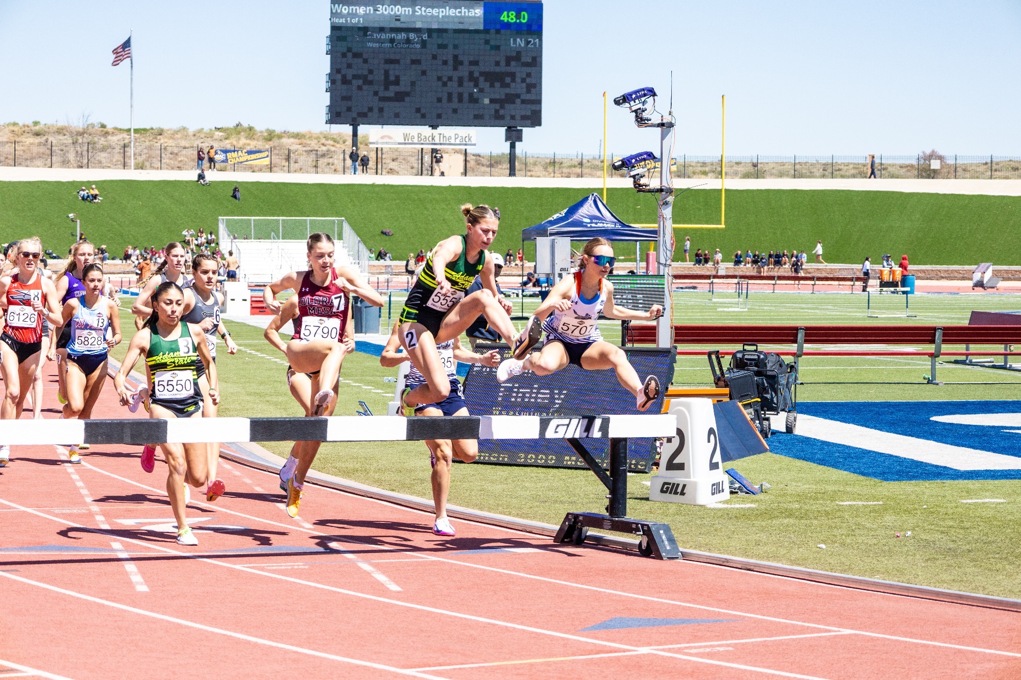 Haley Steeplechase