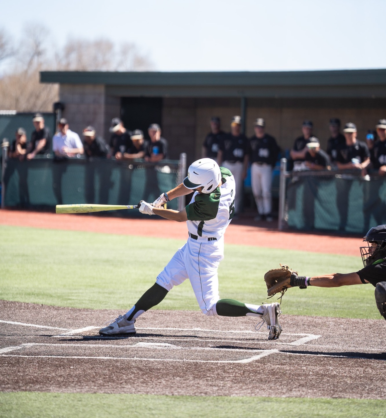 Tauscher Swinging vs. UCCS
