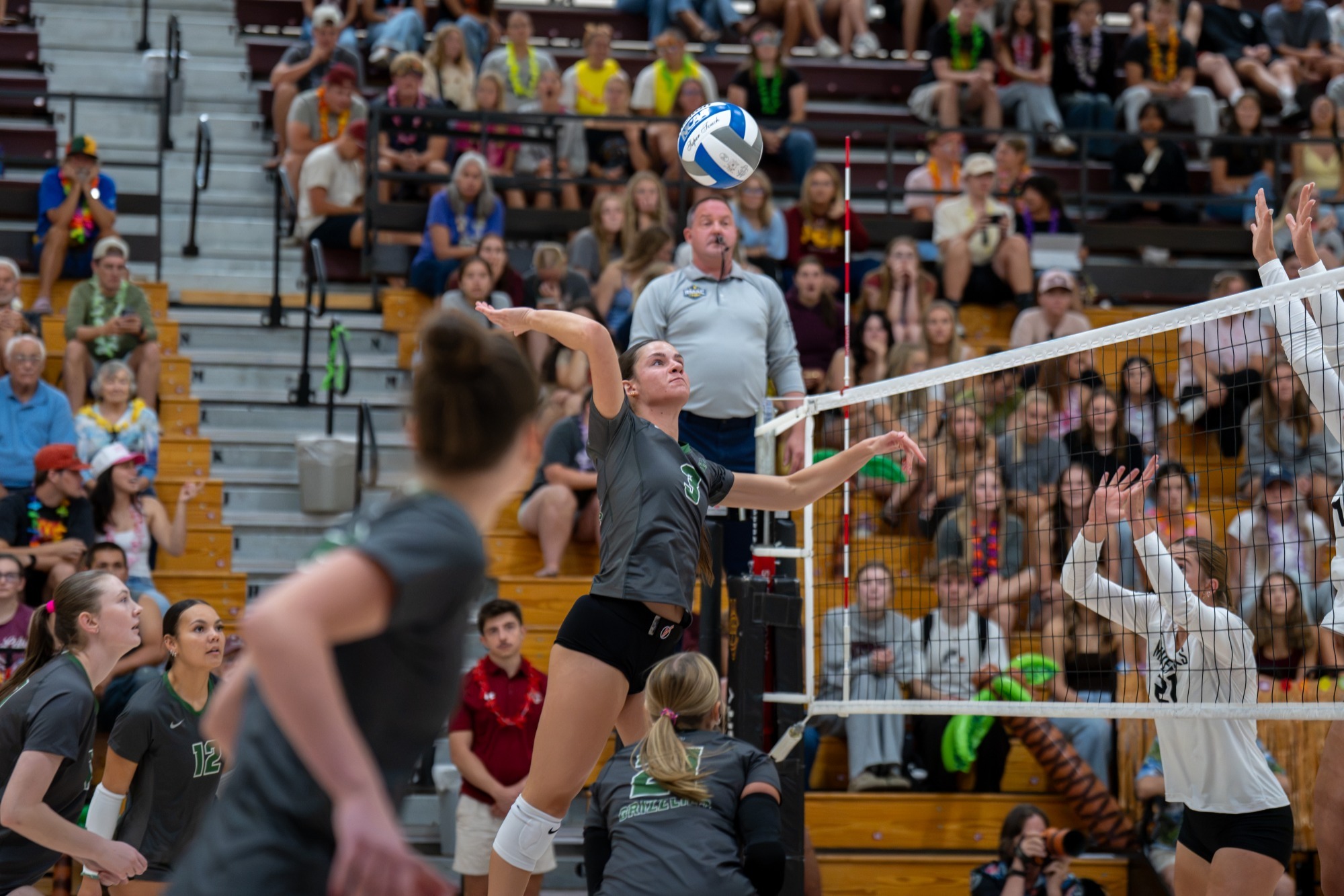 Volleyball vs. Mesa