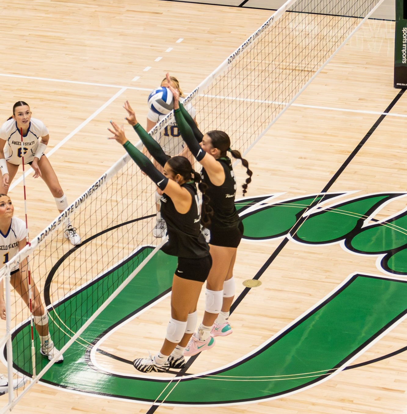 Volleyball Blocking Home