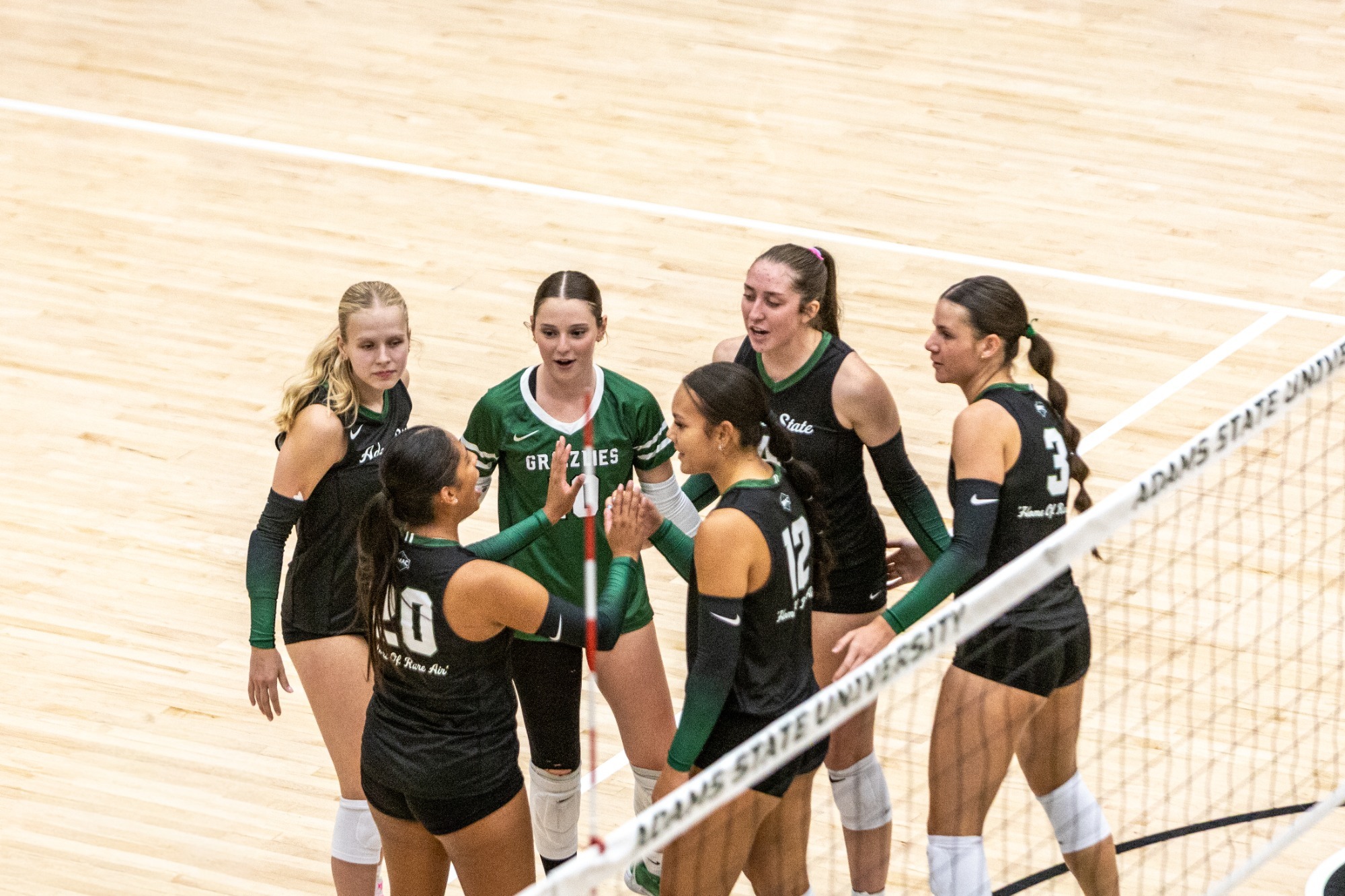 Volleyball Home 