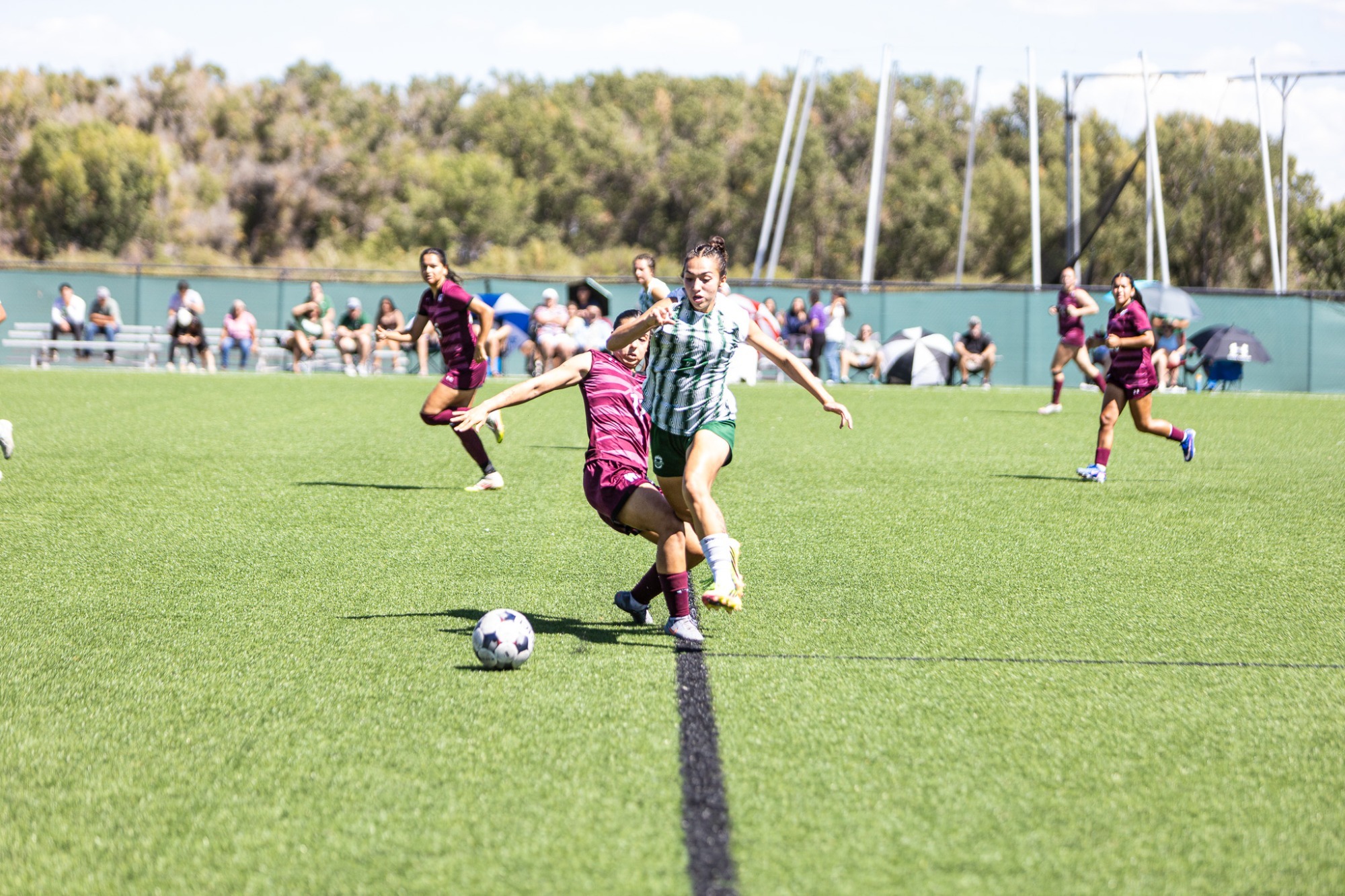 WSOC vs. WT