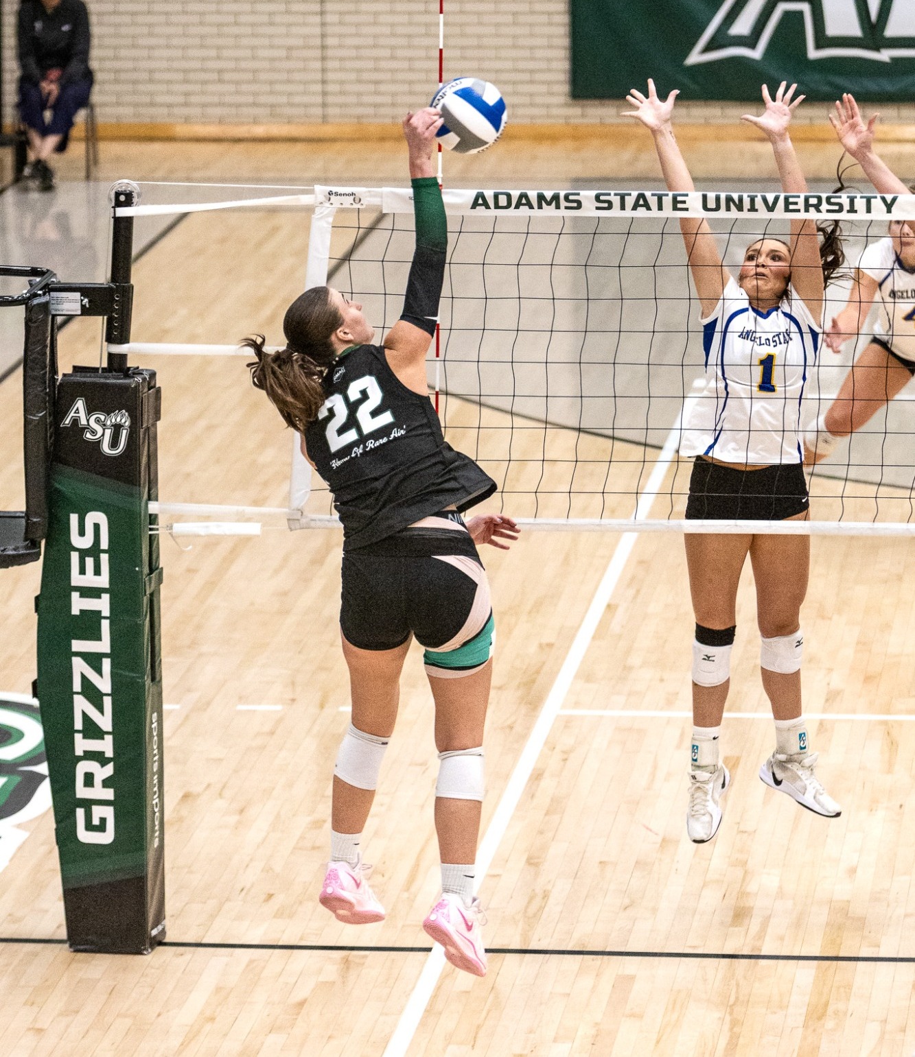 Volleyball Spike