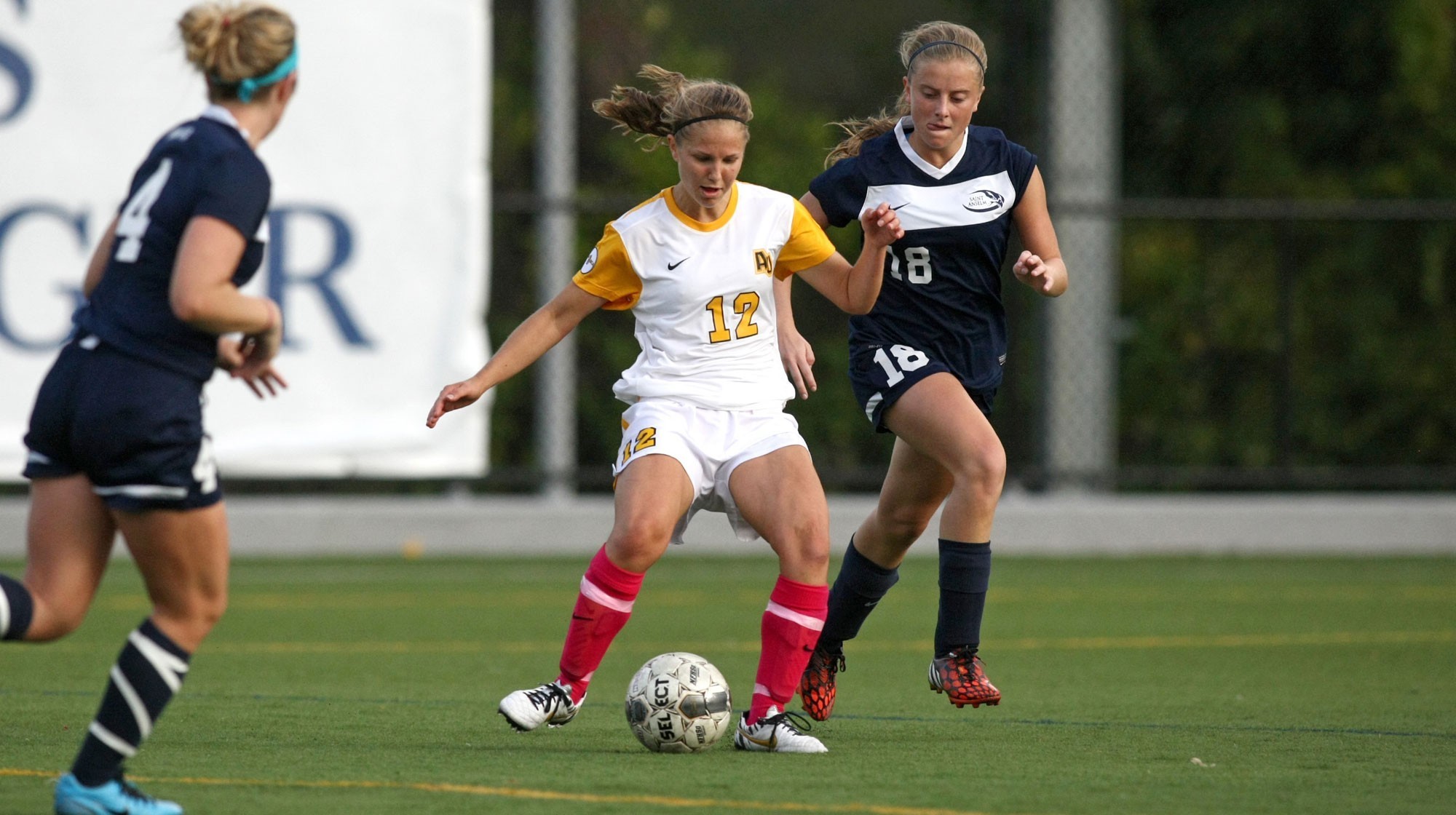 Michelle Brown Women's Soccer Adelphi University Athletics