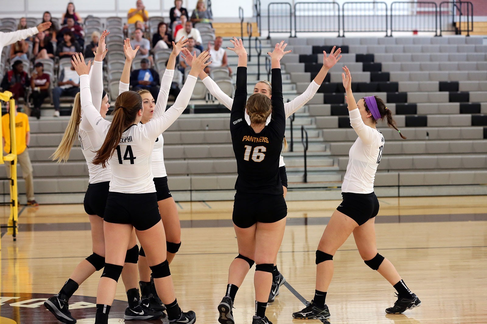 Shelby Stoner Women's Volleyball Adelphi University Athletics
