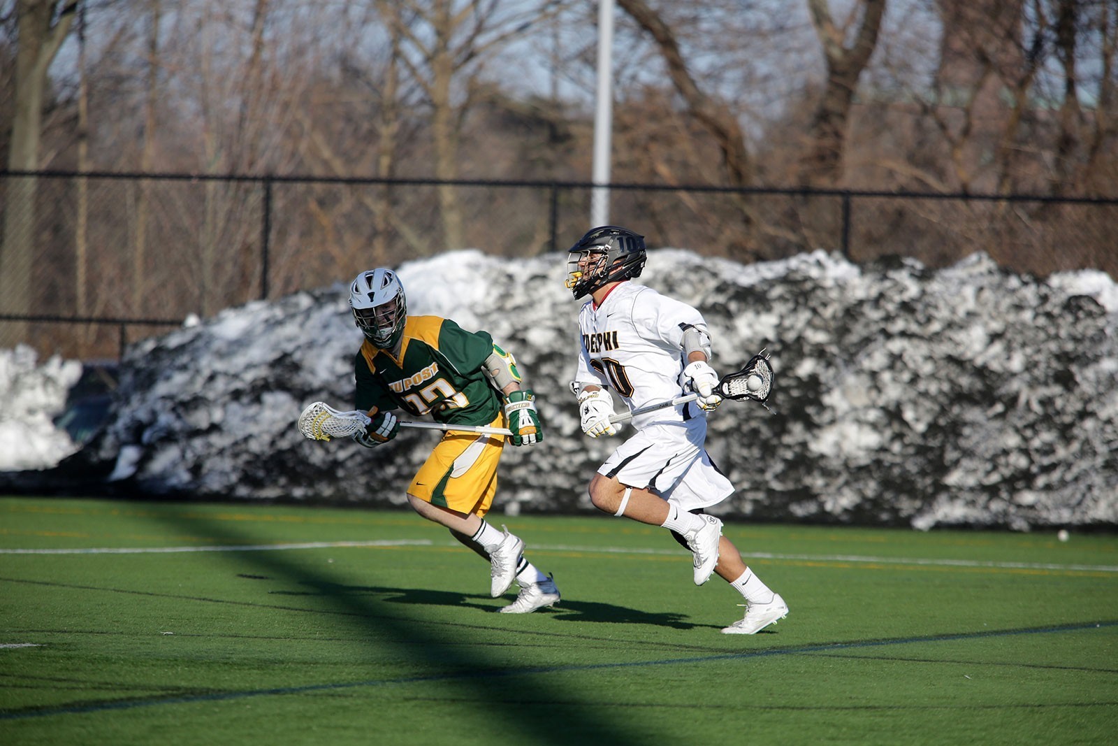 Anthony DeLuca Men's Lacrosse Adelphi University Athletics