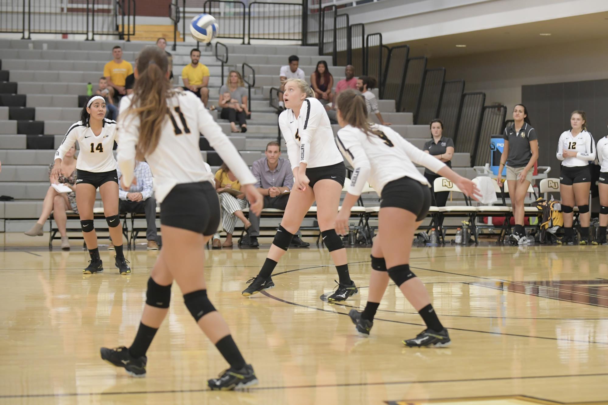 Victoria Bailey Women's Volleyball Adelphi University Athletics