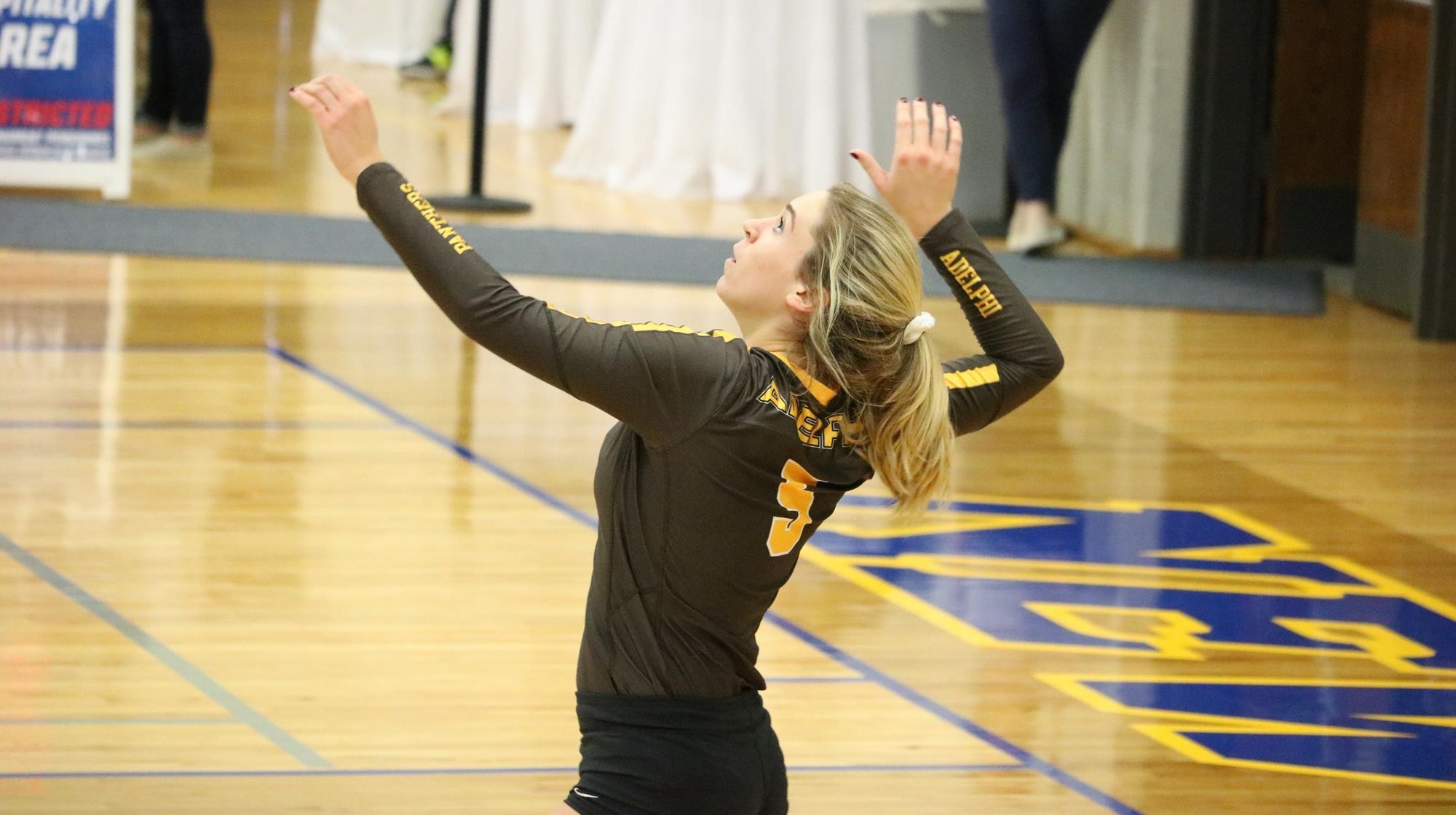 Katarina Warburton Women's Volleyball Adelphi University Athletics