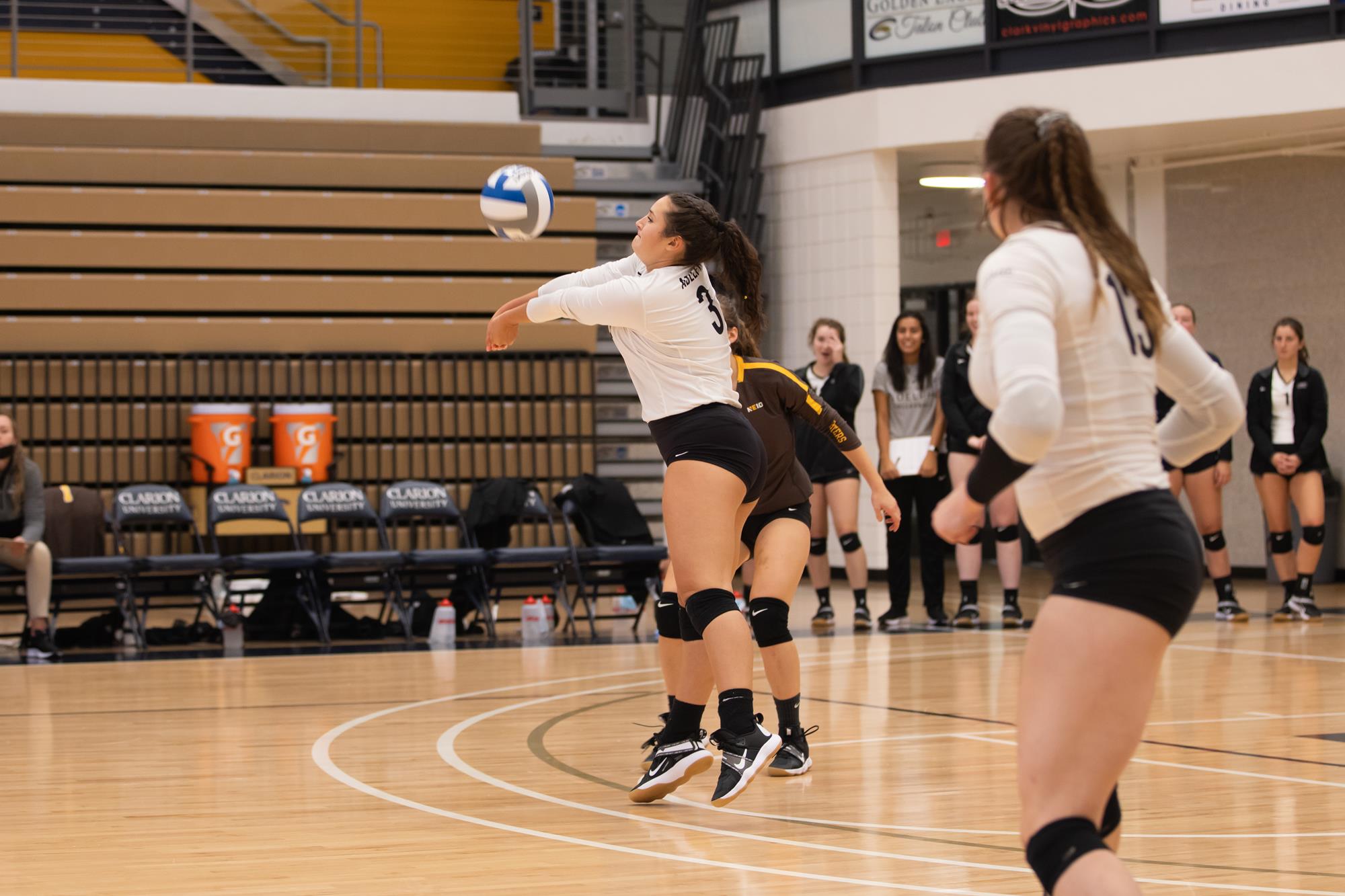 Diana Migliozzi Women's Volleyball Adelphi University Athletics