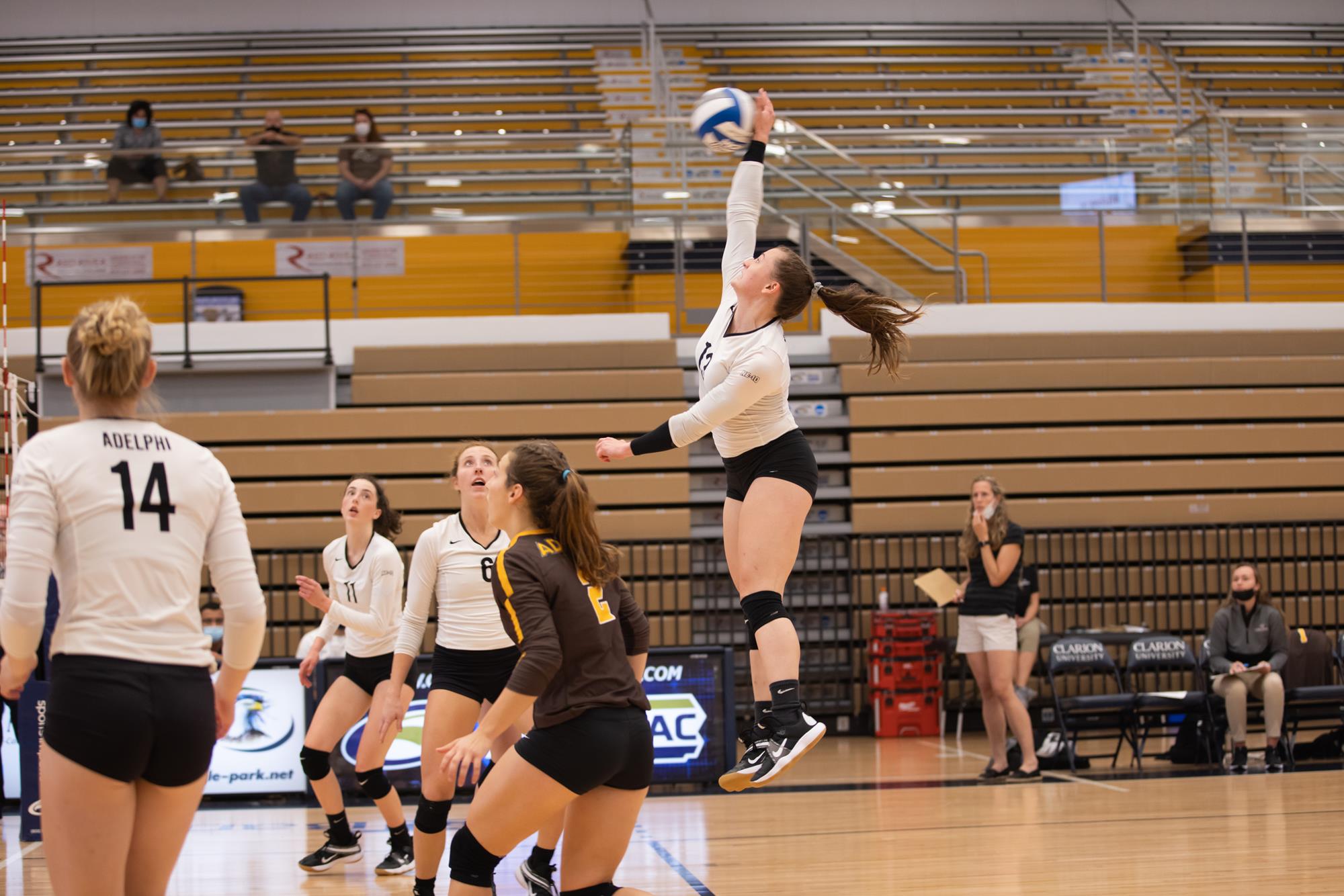 Katie Schloss Women's Volleyball Adelphi University Athletics