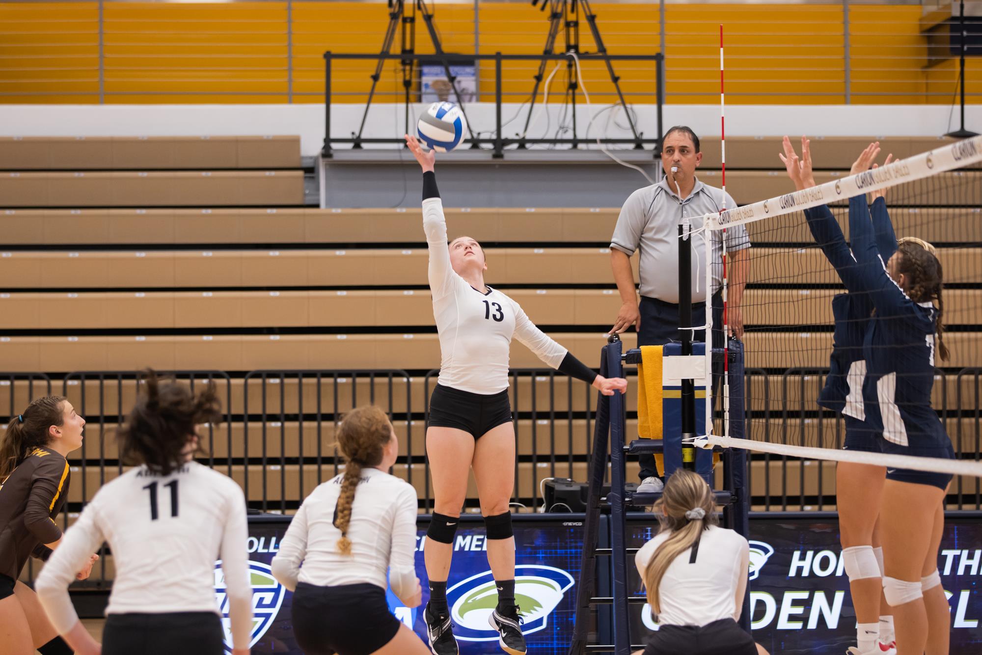 Katie Schloss Women's Volleyball Adelphi University Athletics