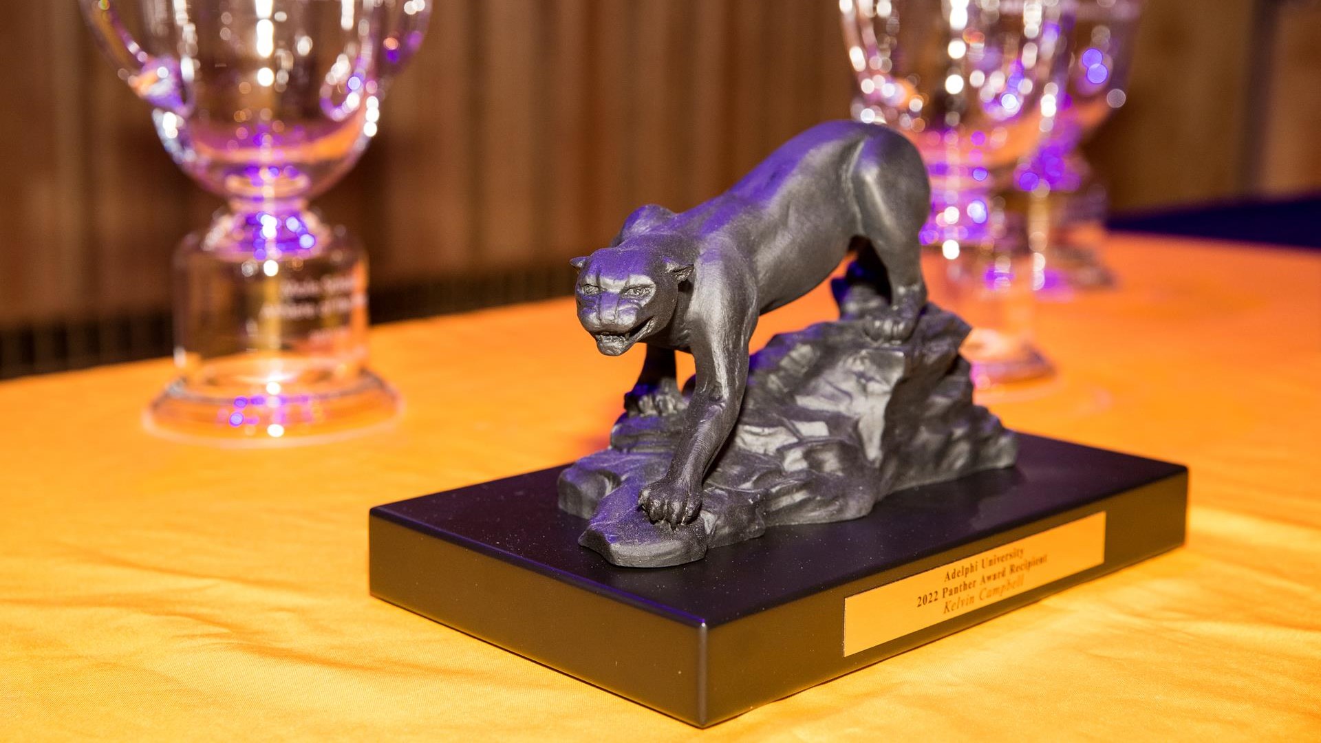 Panther Award