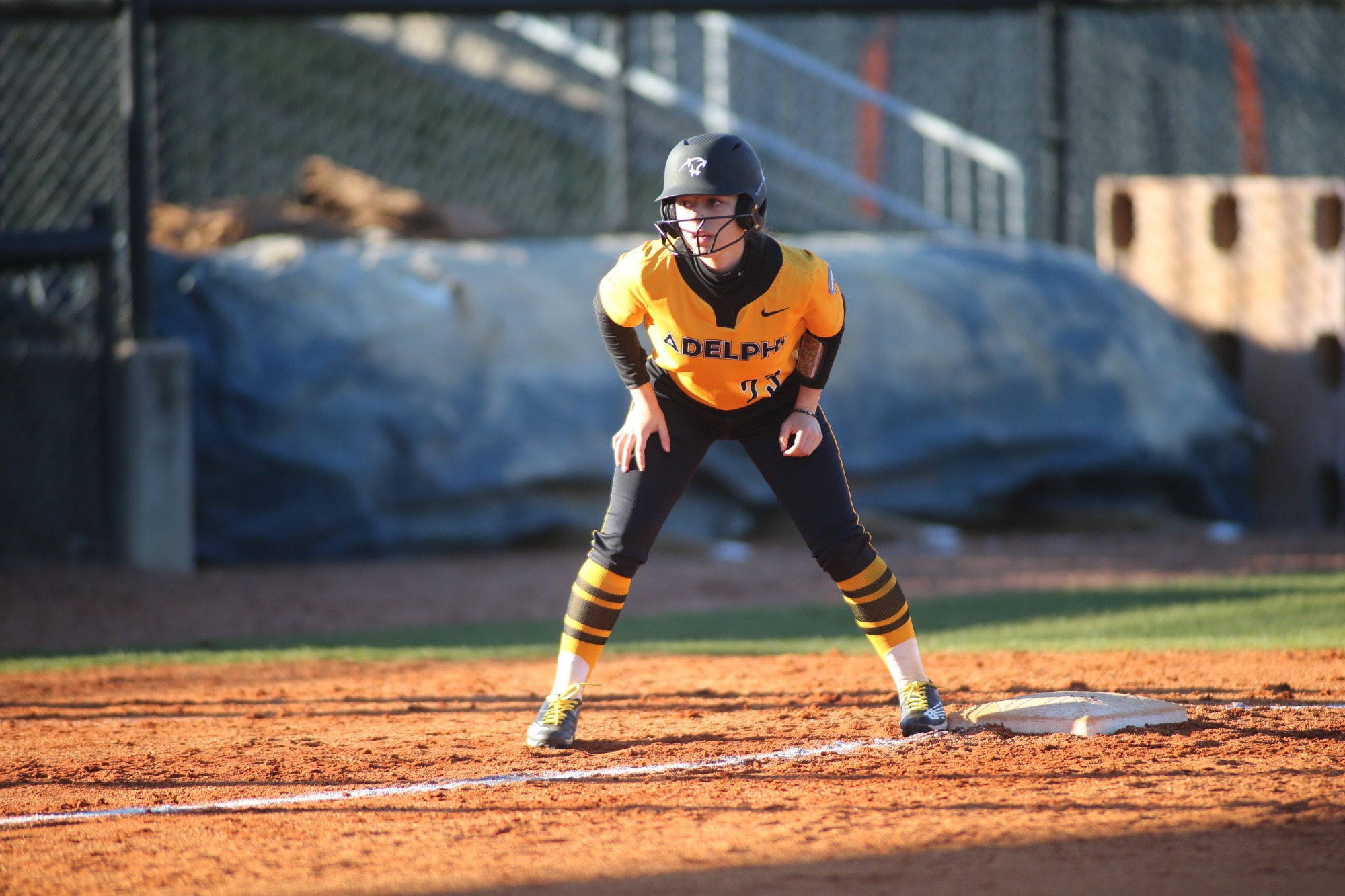 Angelina Kellogg Softball Adelphi University Athletics