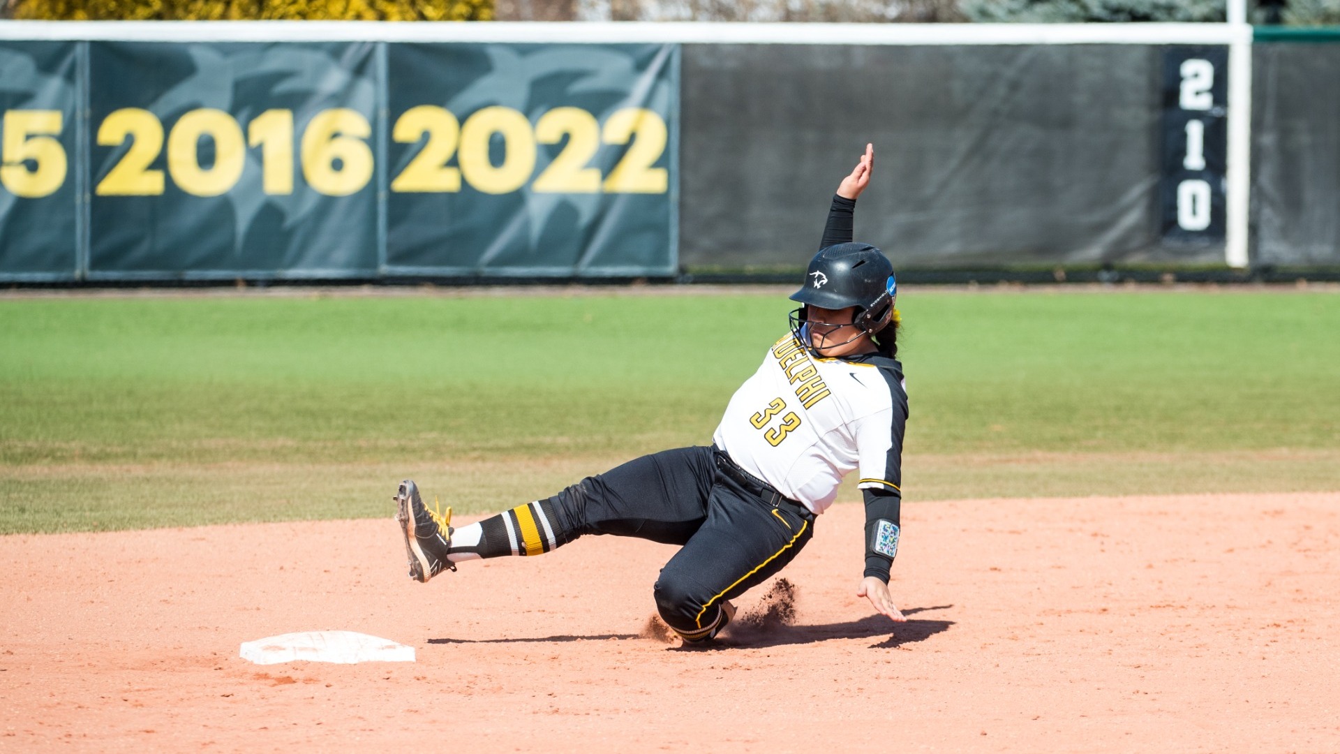 Sabrina Morales Softball Adelphi University Athletics