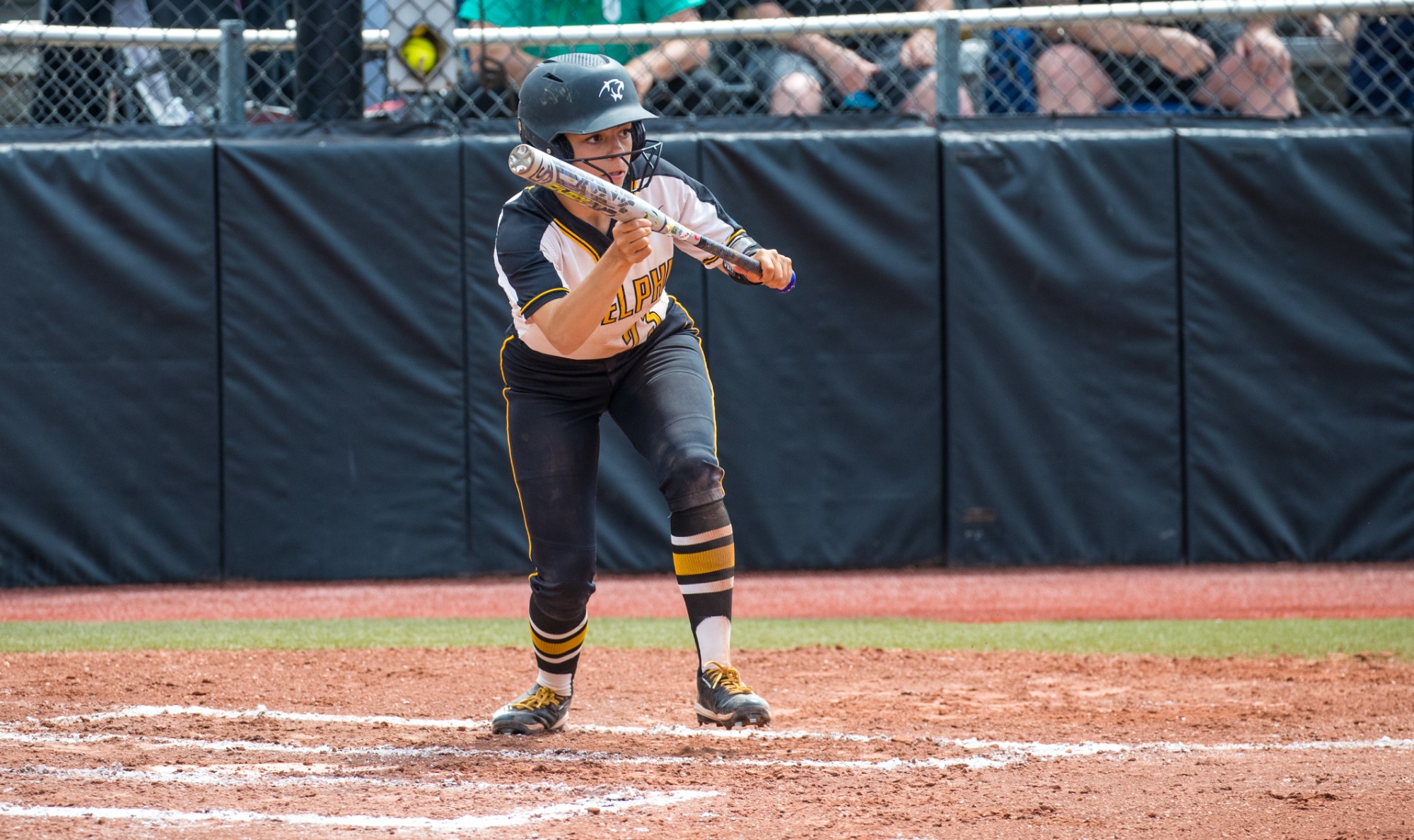 Angelina Kellogg Softball Adelphi University Athletics