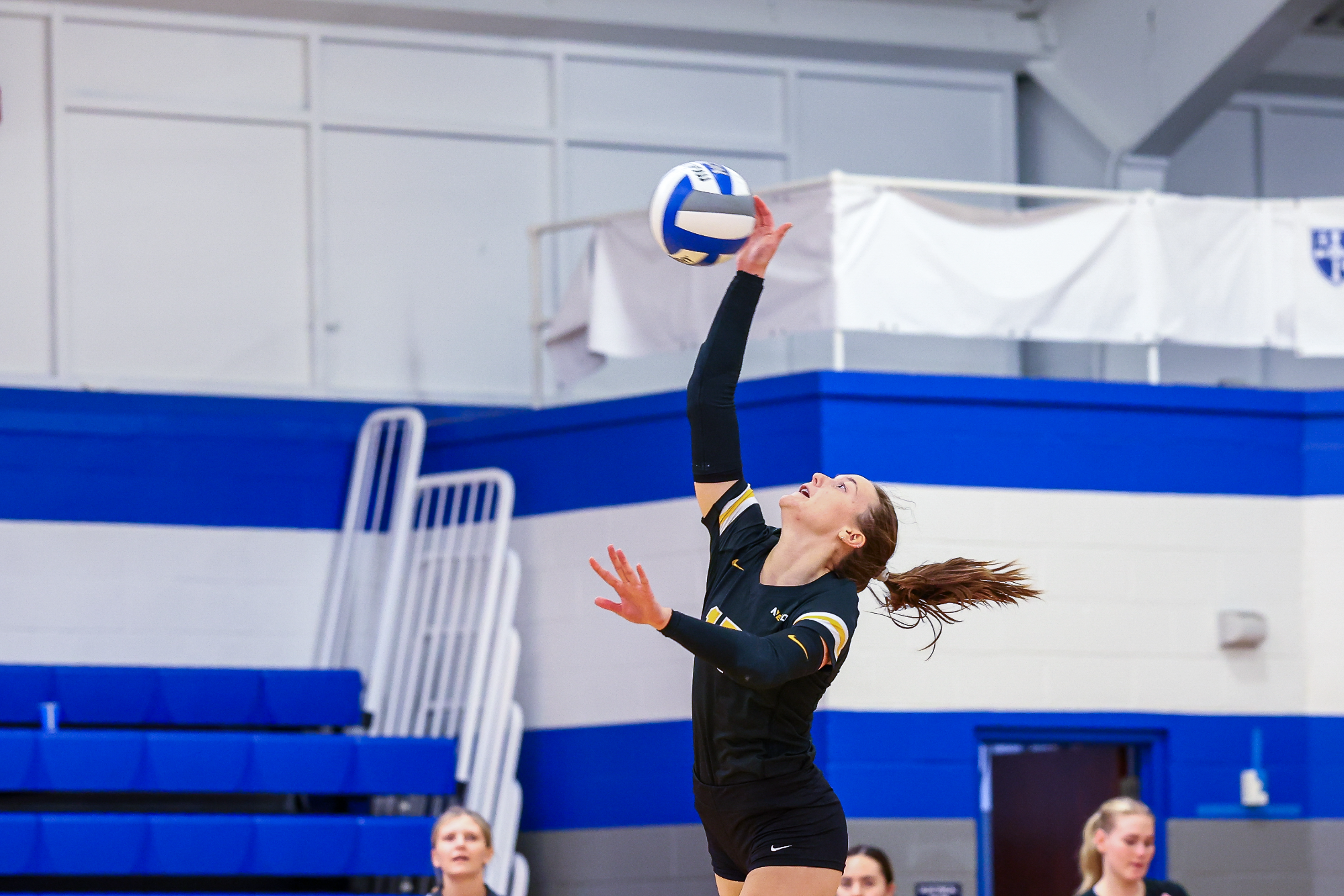 October, 4, 2025; Worcester, Massachusetts; during a Northeast-10 matchup between Adelphi and Assumption. The Panthers won 3-0 over the Greyhounds. Photo by Brian Foley for Foley Photography