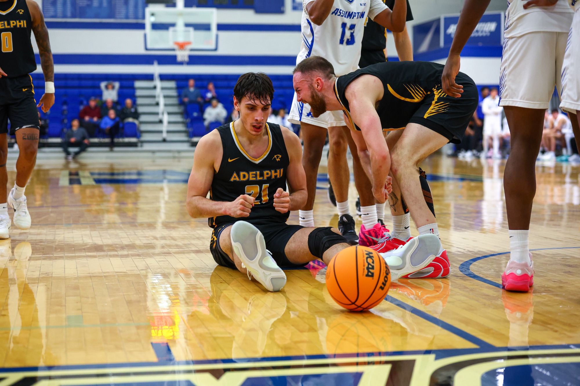 January, 7, 2026; Worcester, Massachusetts;  during a Northeast-10 conference matchup between Adelphi and Assumption. Photo by Brian Foley for Foley Photography