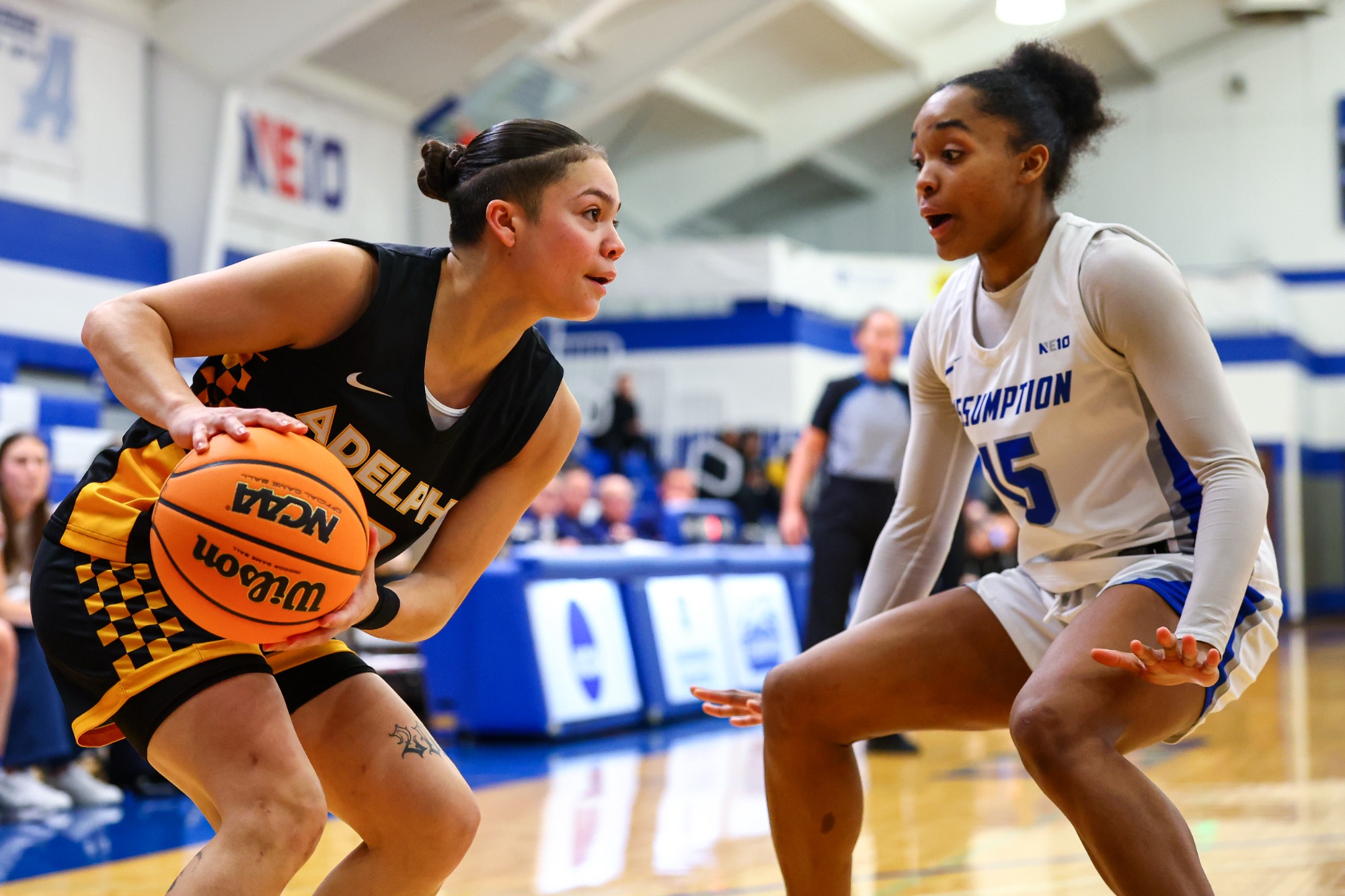 January, 7, 2026; Worcester, Massachusetts;  during a Northeast-10 conference matchup between Adelphi and Assumption. Photo by Brian Foley for Foley Photography